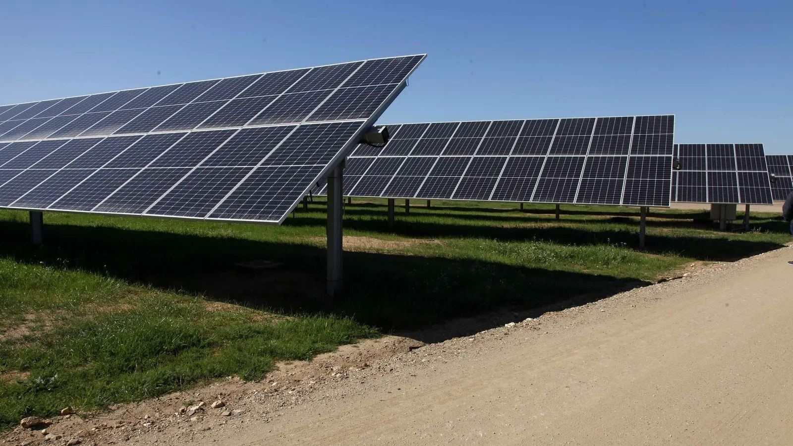 Paneles solares de una planta fotovoltáica.