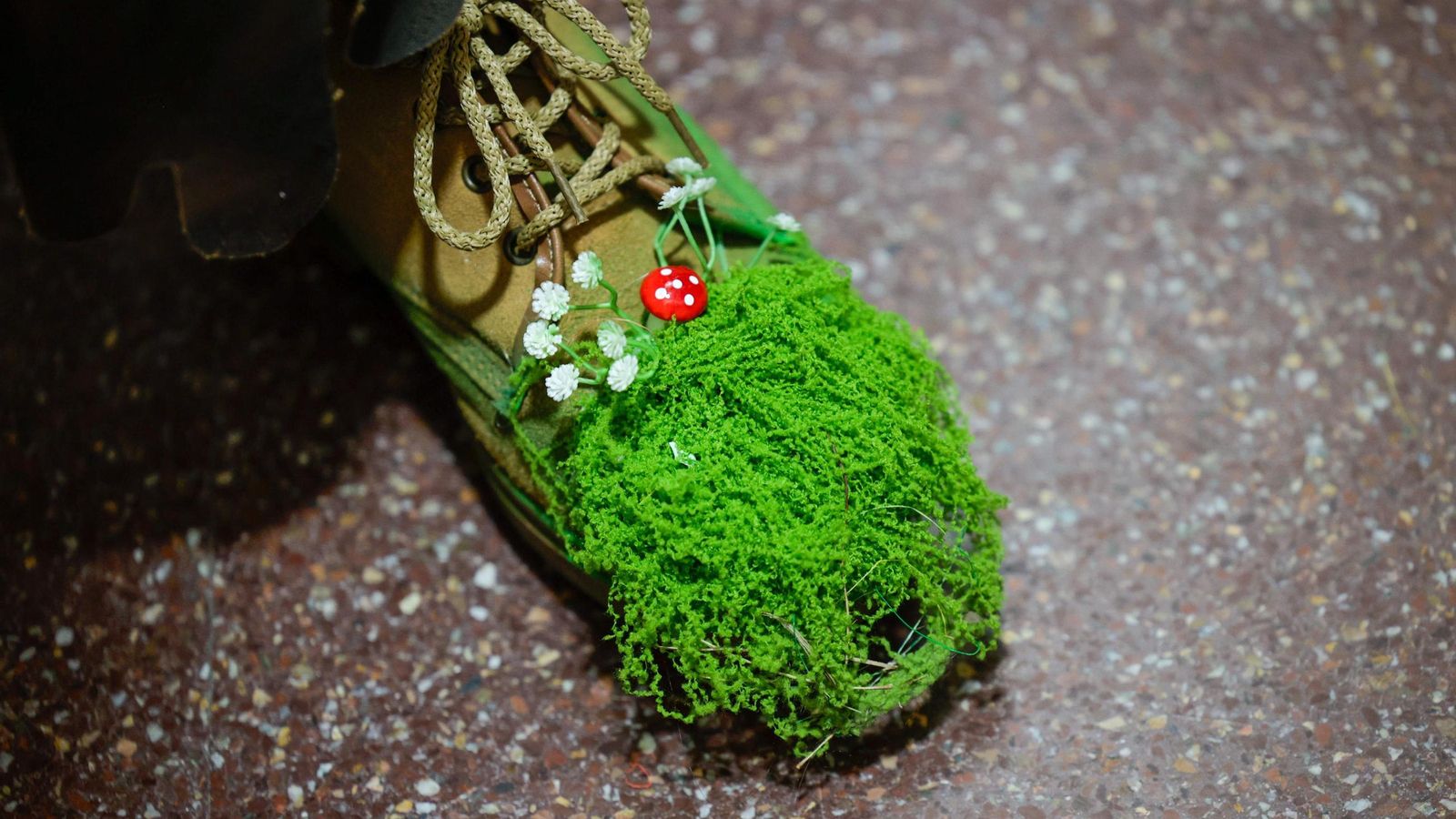 Búscate entre las mejores imágenes de la segunda sesión de cuartos de final del COAC 2025