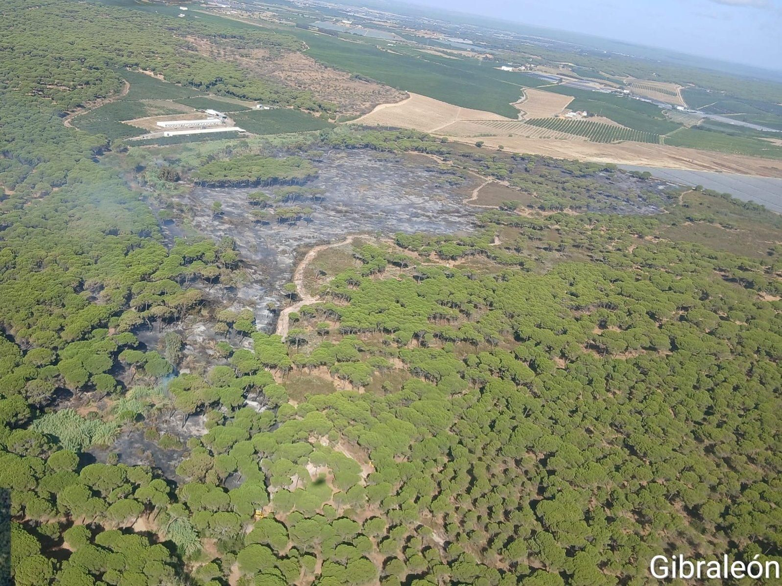 Incendio forestal este martes en el paraje Montehigo de Almonte.