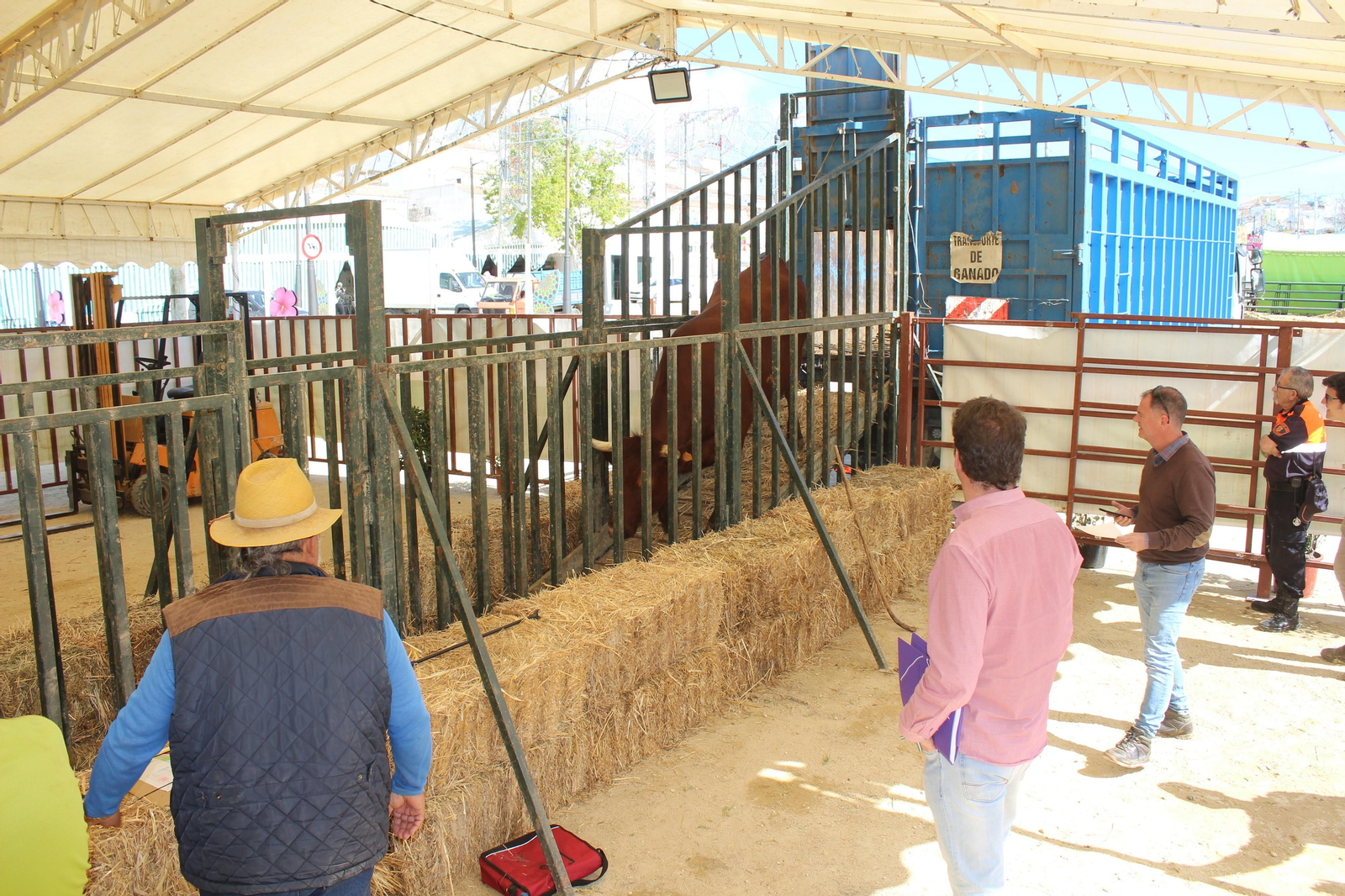 Jueves de feria de Vejer, en imágenes