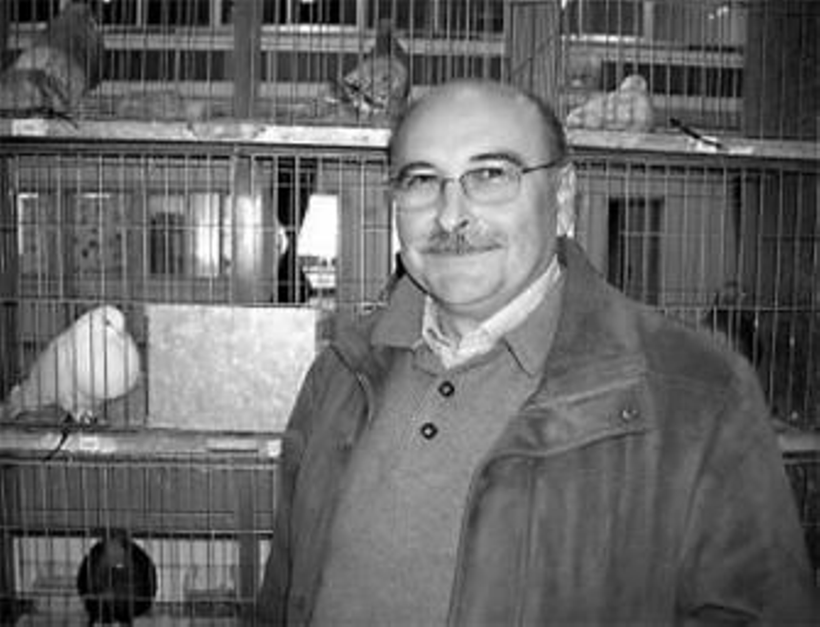 Tradiciones con pedigrí