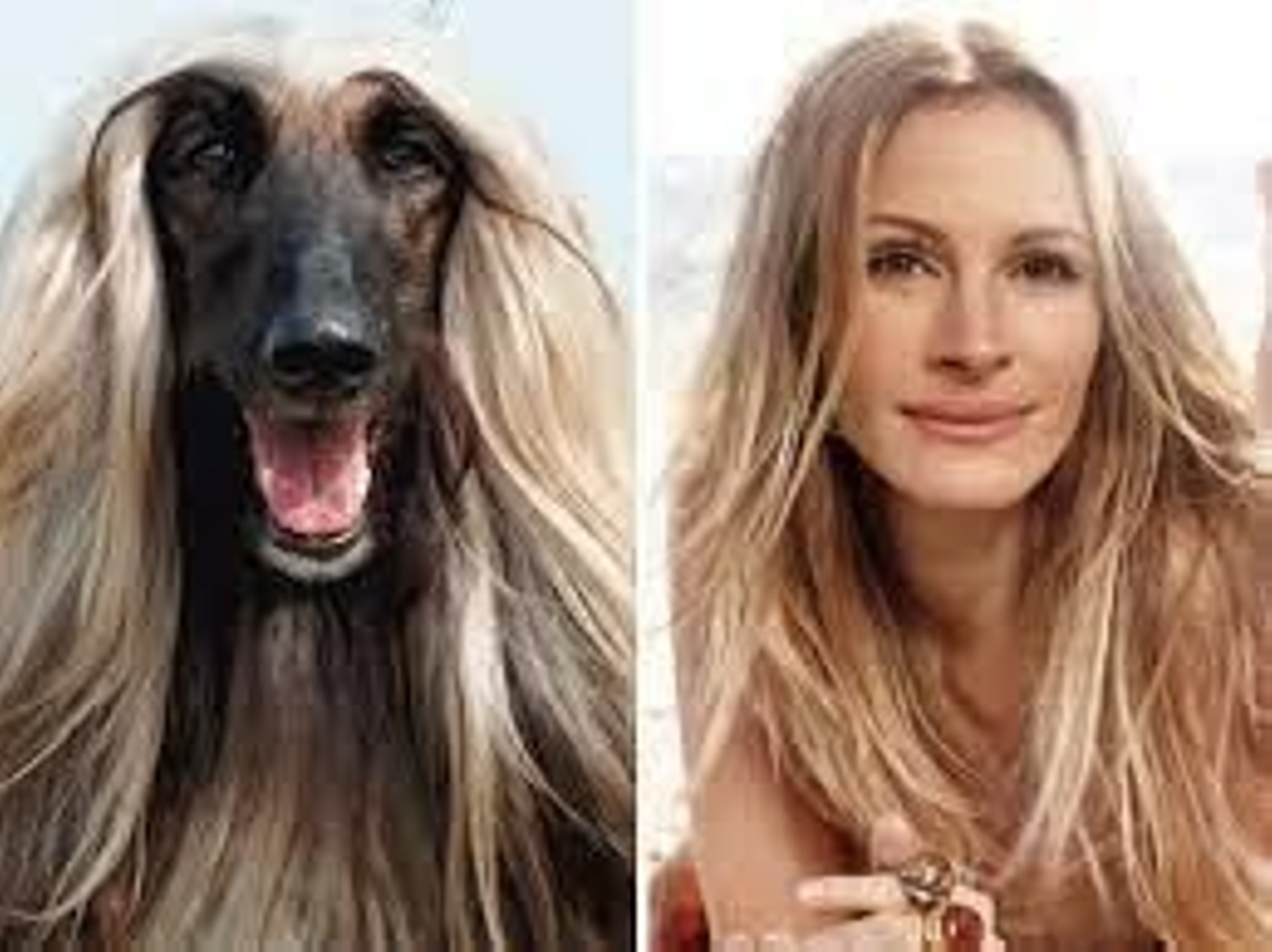 La misma melena y cara alargada que la mismísima Julia Roberts.