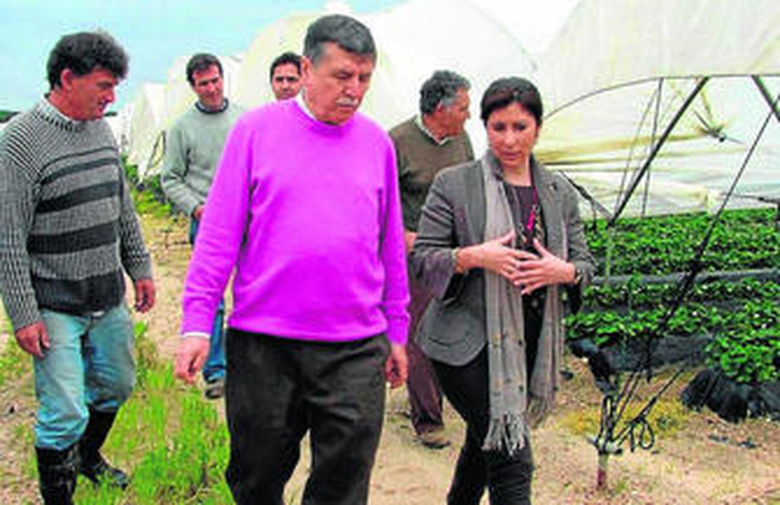 La delegada Esperanza Cortés visitó ayer los campos agrícolas de Moguer y Palos afectados por las lluvias.
