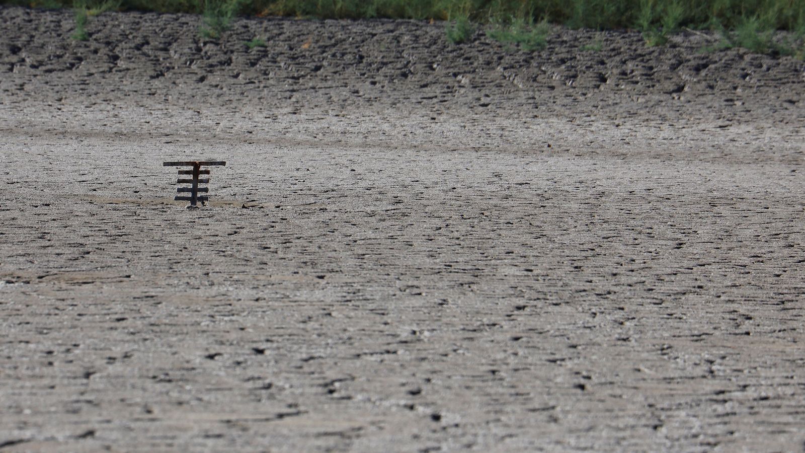 Aspecto que presenta la laguna.