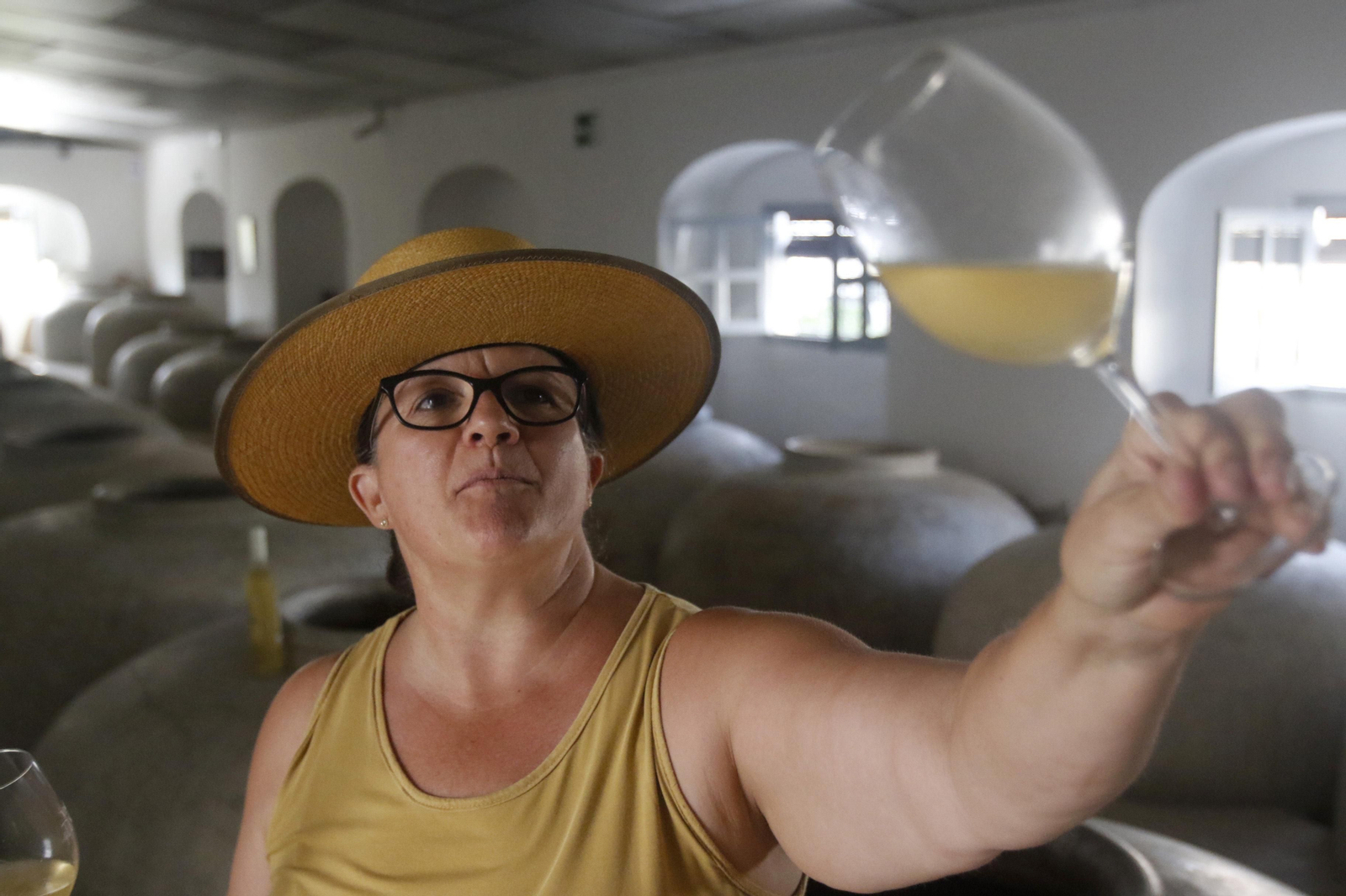 La vendimia en Montilla-Moriles, en fotografías