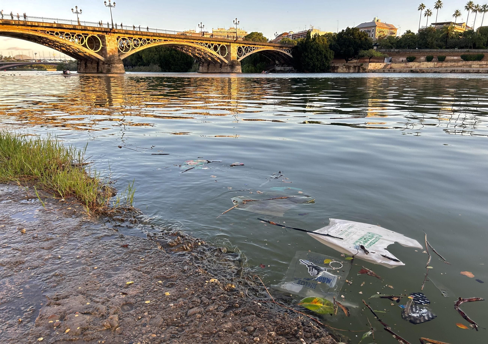 Así amanece hoy el Guadalquivir en Sevilla