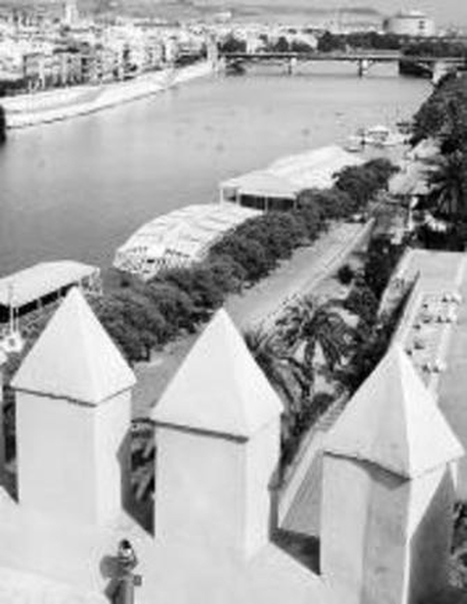 Un crucero turístico de los que operan en Sevilla se acerca a la orilla de Triana.