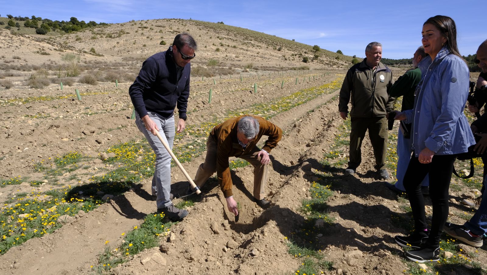 Cajamar pone 'la primera planta' para la reforestación de Sierra María-Los Vélez
