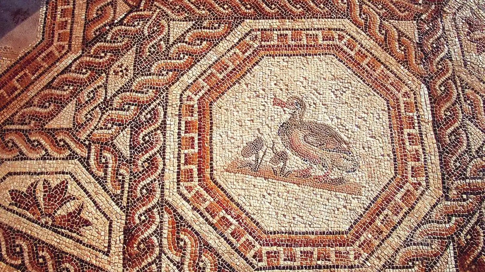 Uno de los mosaicos que pueden verse en la Villa Romana de Bruñel de Quesada.