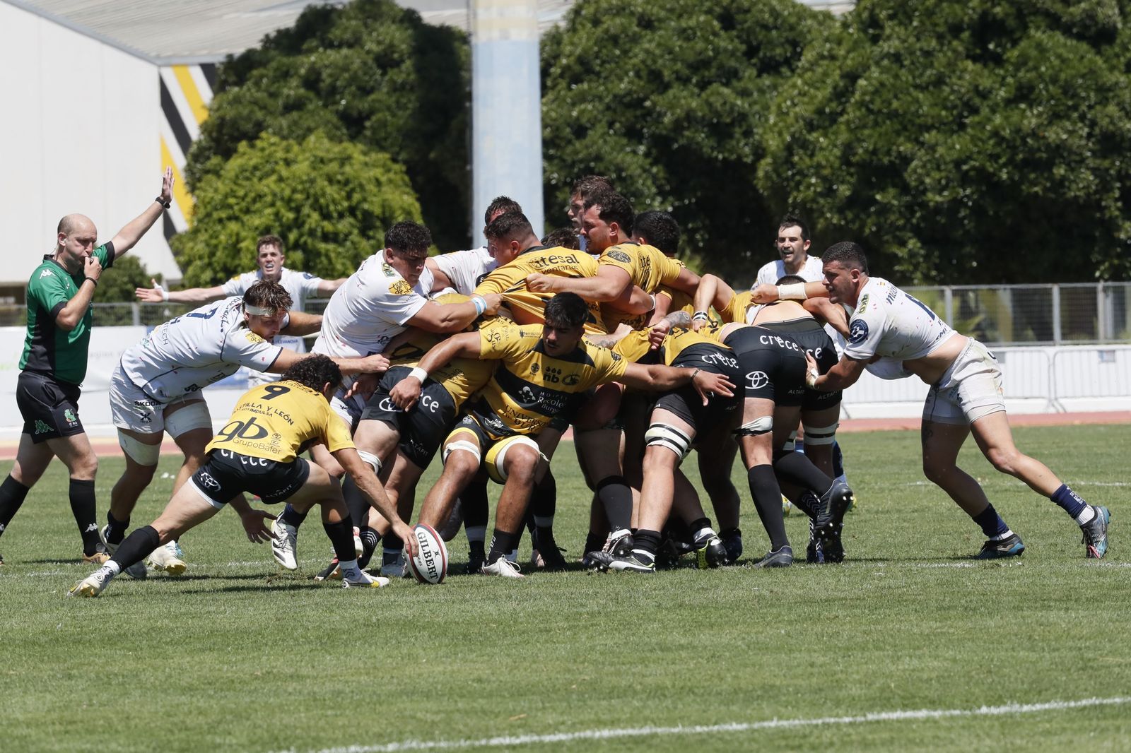 Las fotos del título de Copa de rugby del VRAC en Sevilla