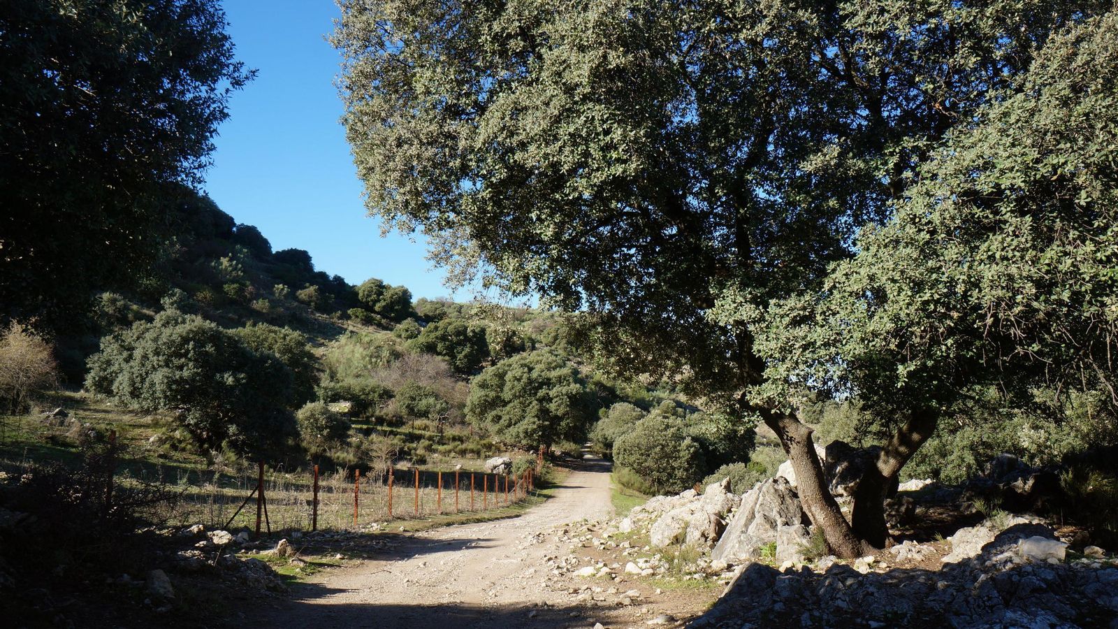 Un camino en Sierra Morena.