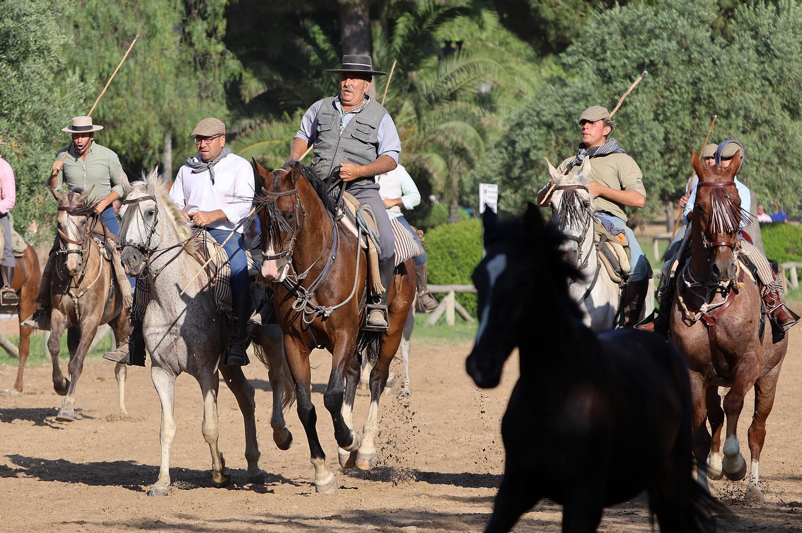 Las mejores imágenes de la Saca de las Yeguas 2025