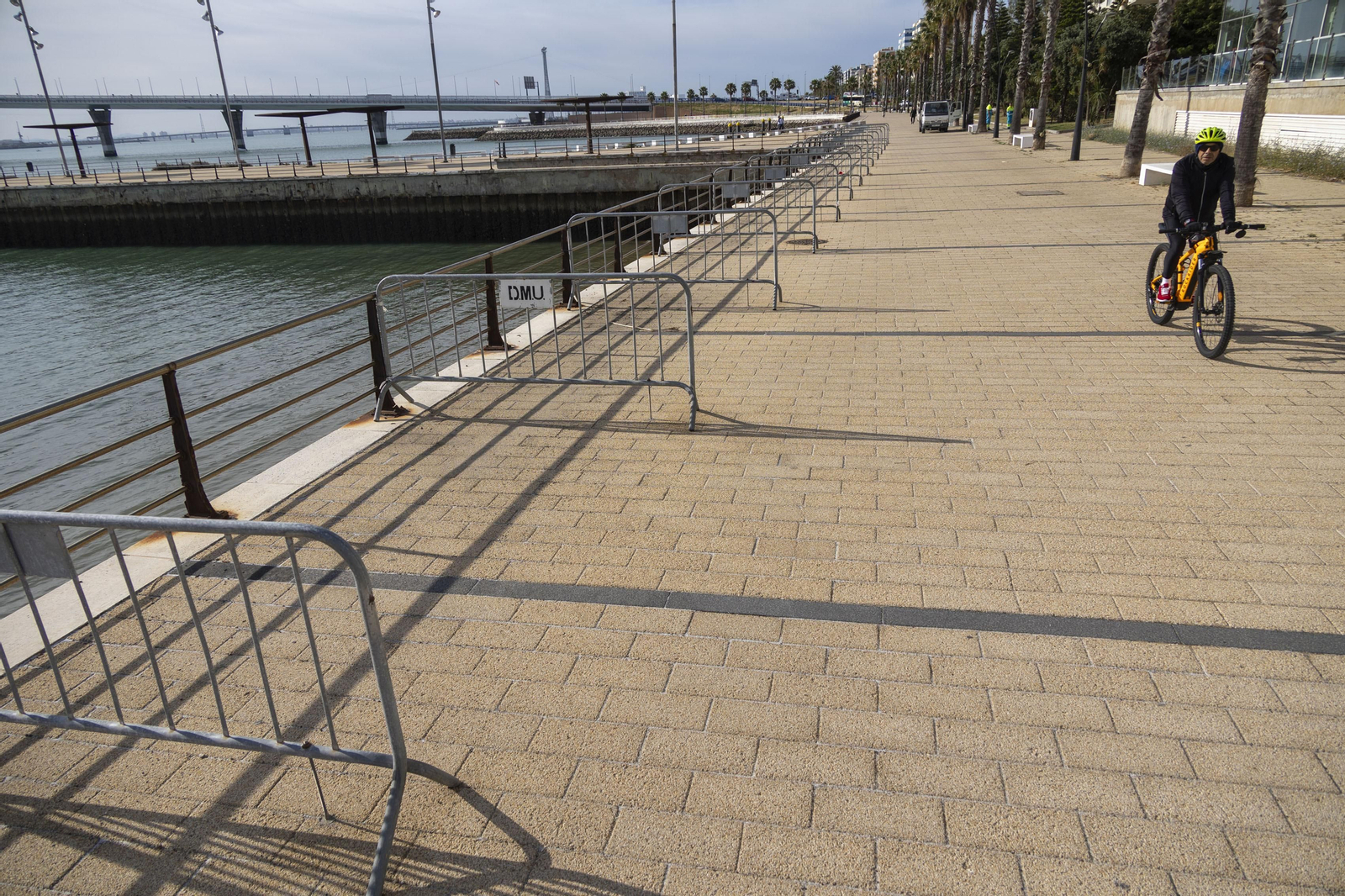 Las imágenes del mal estado de los paseos de Cádiz