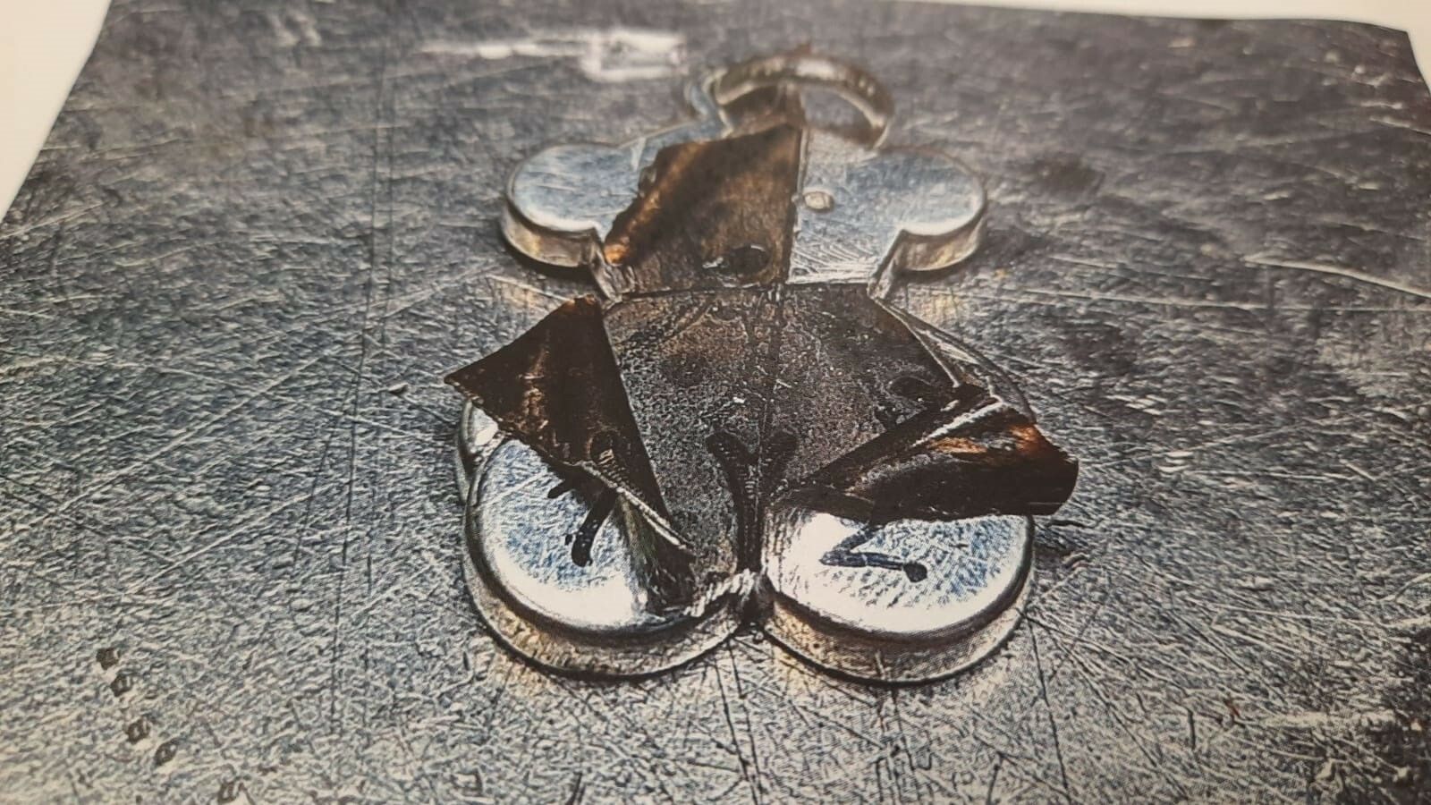 Uno de los osos de Tous diseccionados