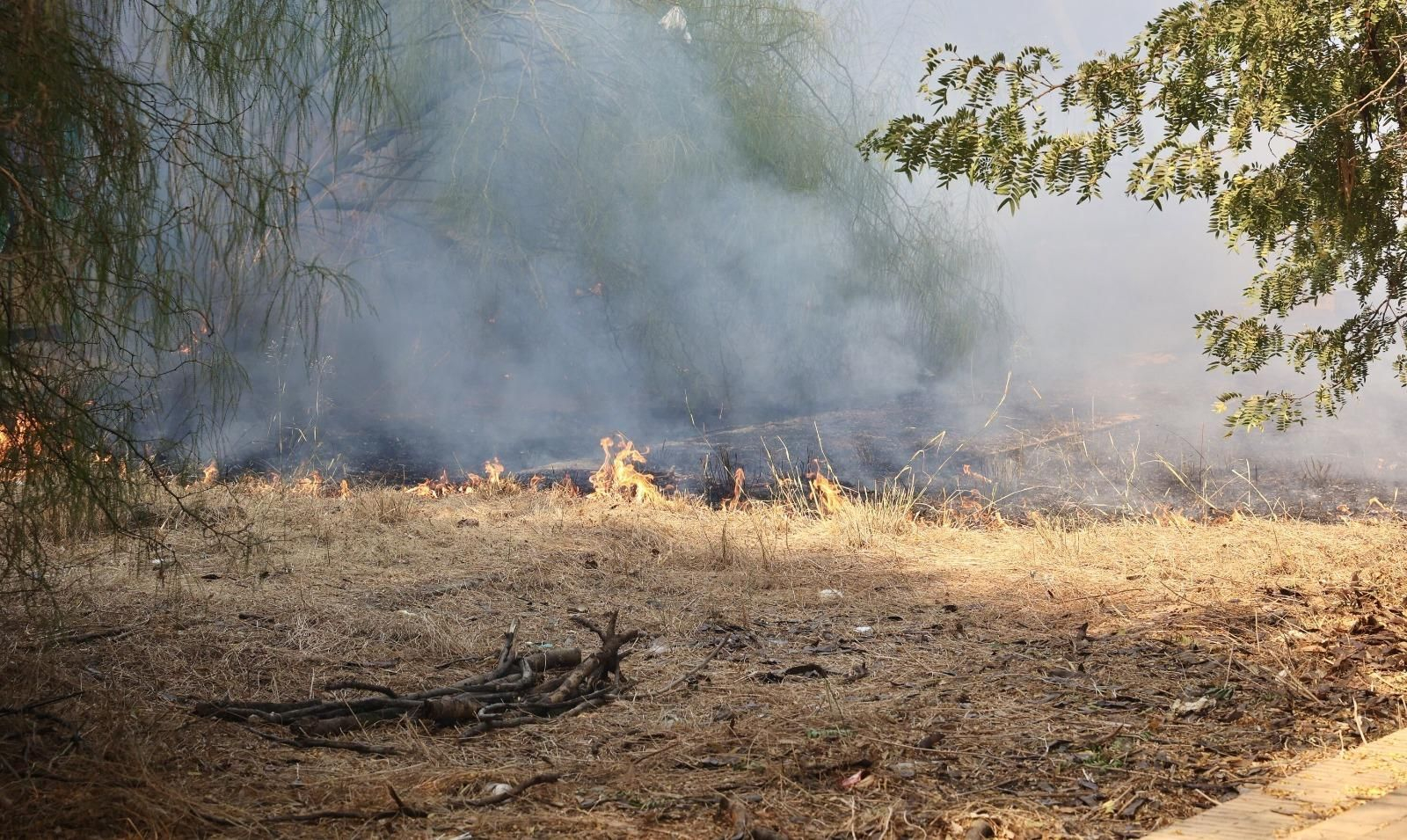 Las imágenes del incendio del auditorio Rocío Jurado