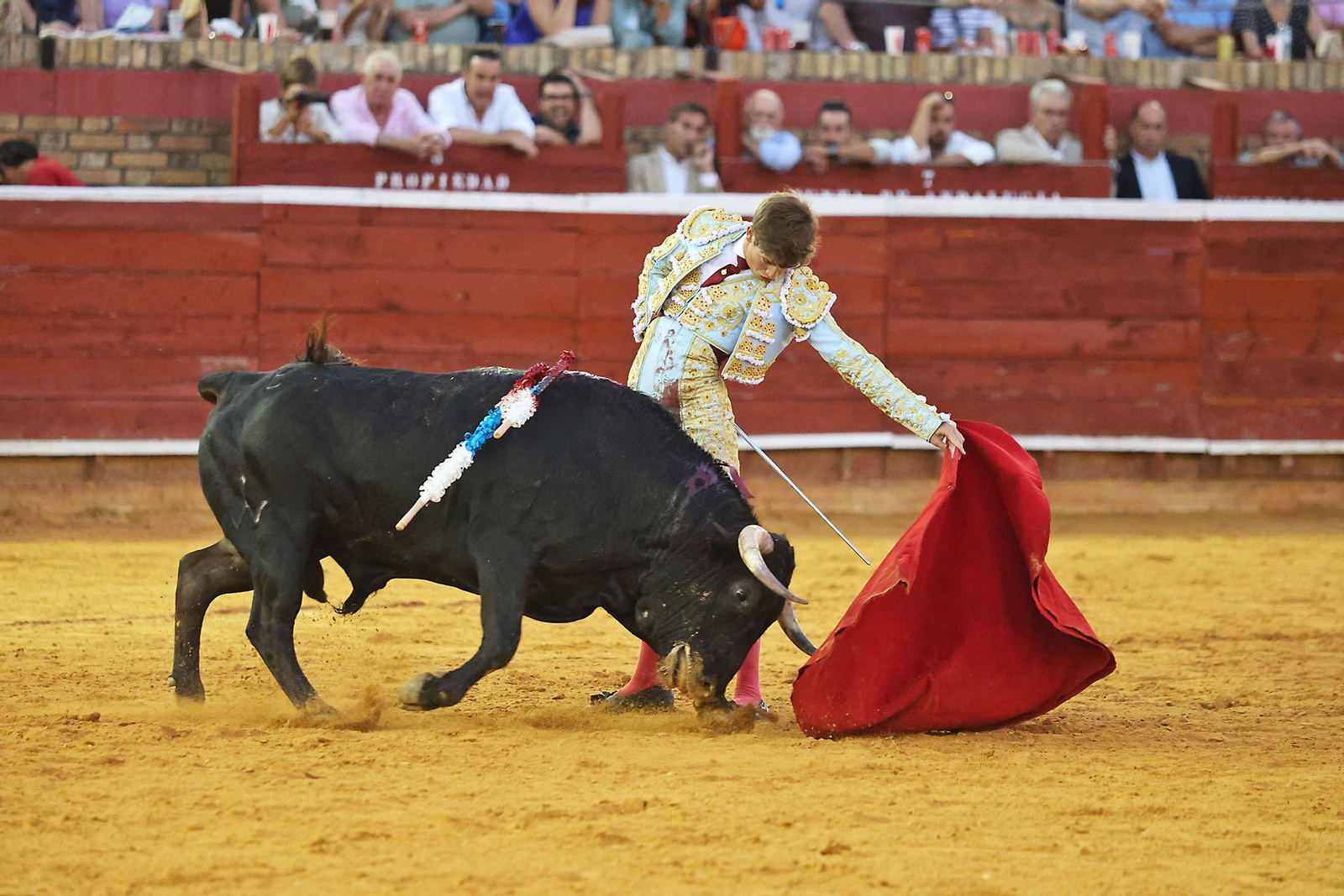Toros La Merced 2024 Novillada con picadores(