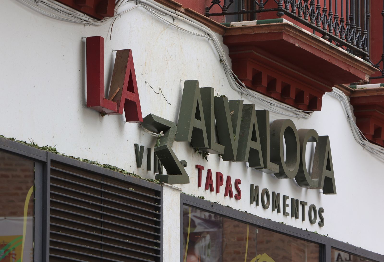 Los desperfectos en la Encarnación tras desplomarse parte del ficus.