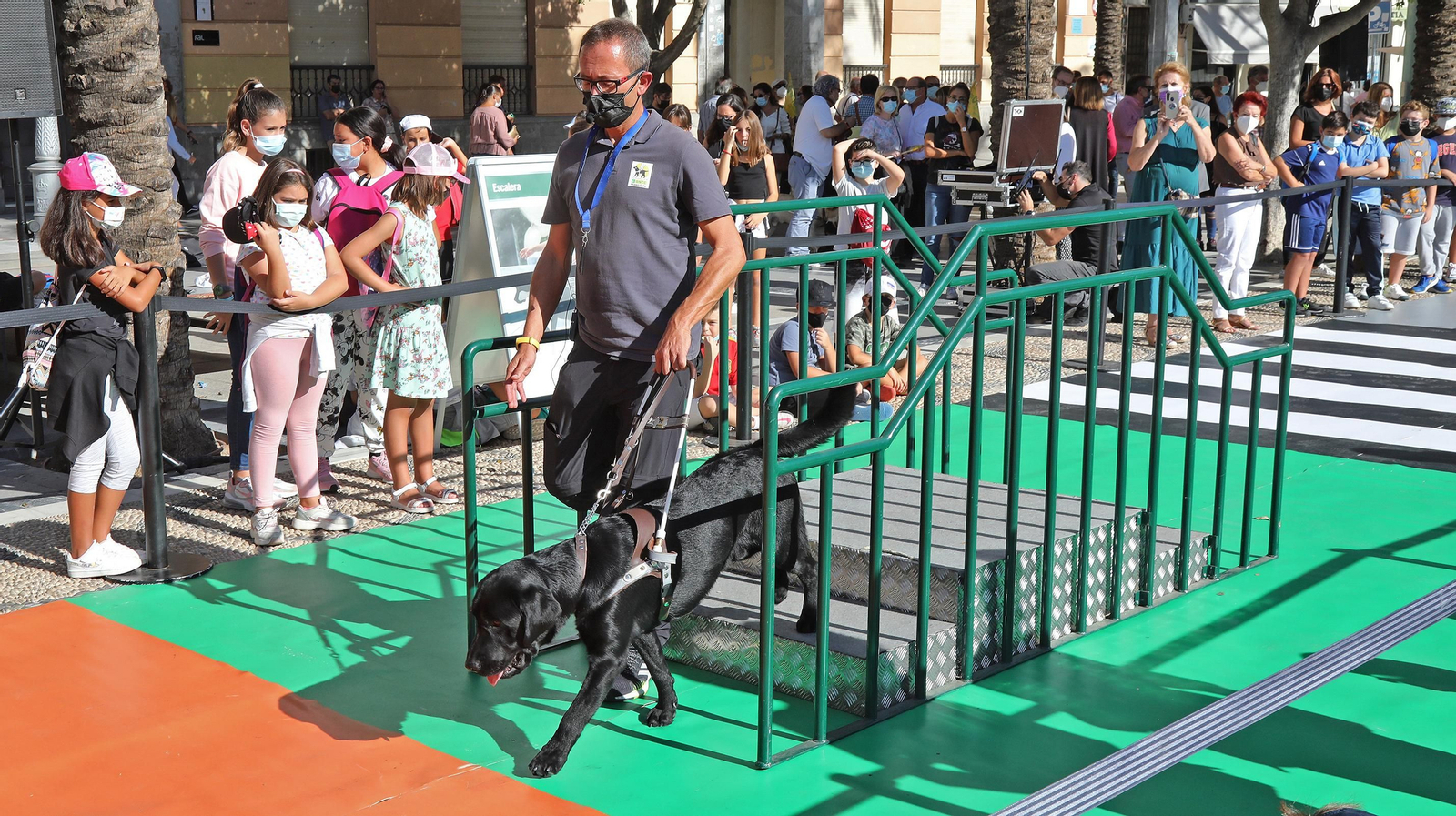 Exhibición en la plaza del Arenal del adiestramiento de perros guía de la ONCE
