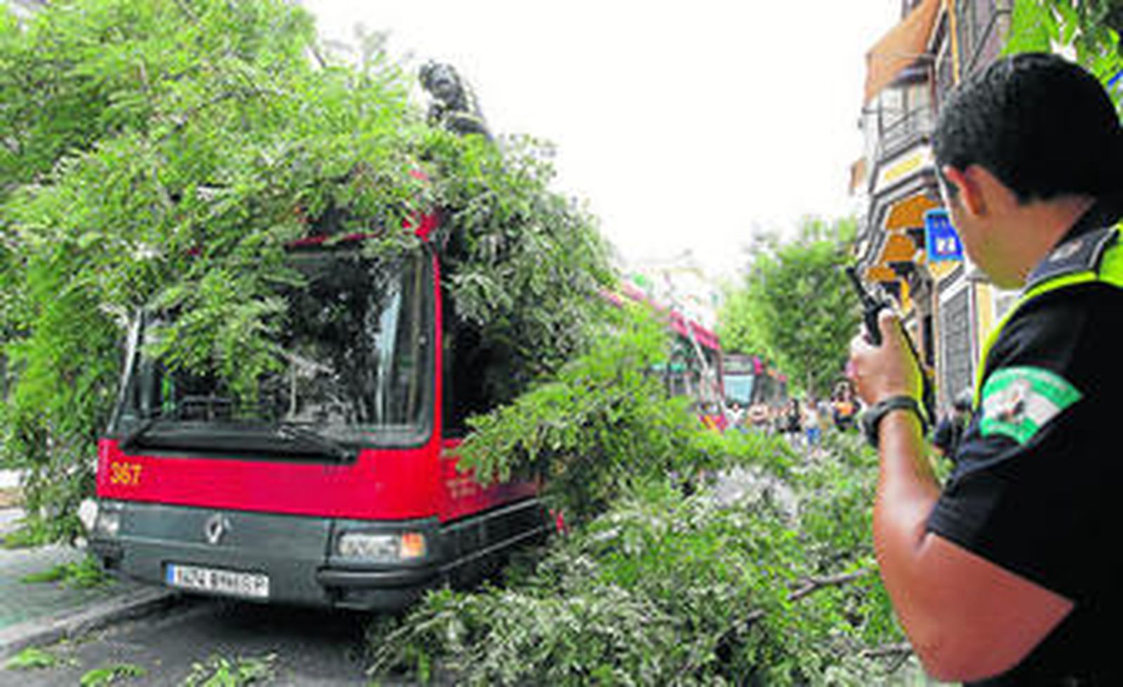 Un árbol impactó sobre un autobús, ayer, en la Avenida de la Cruz Roja.