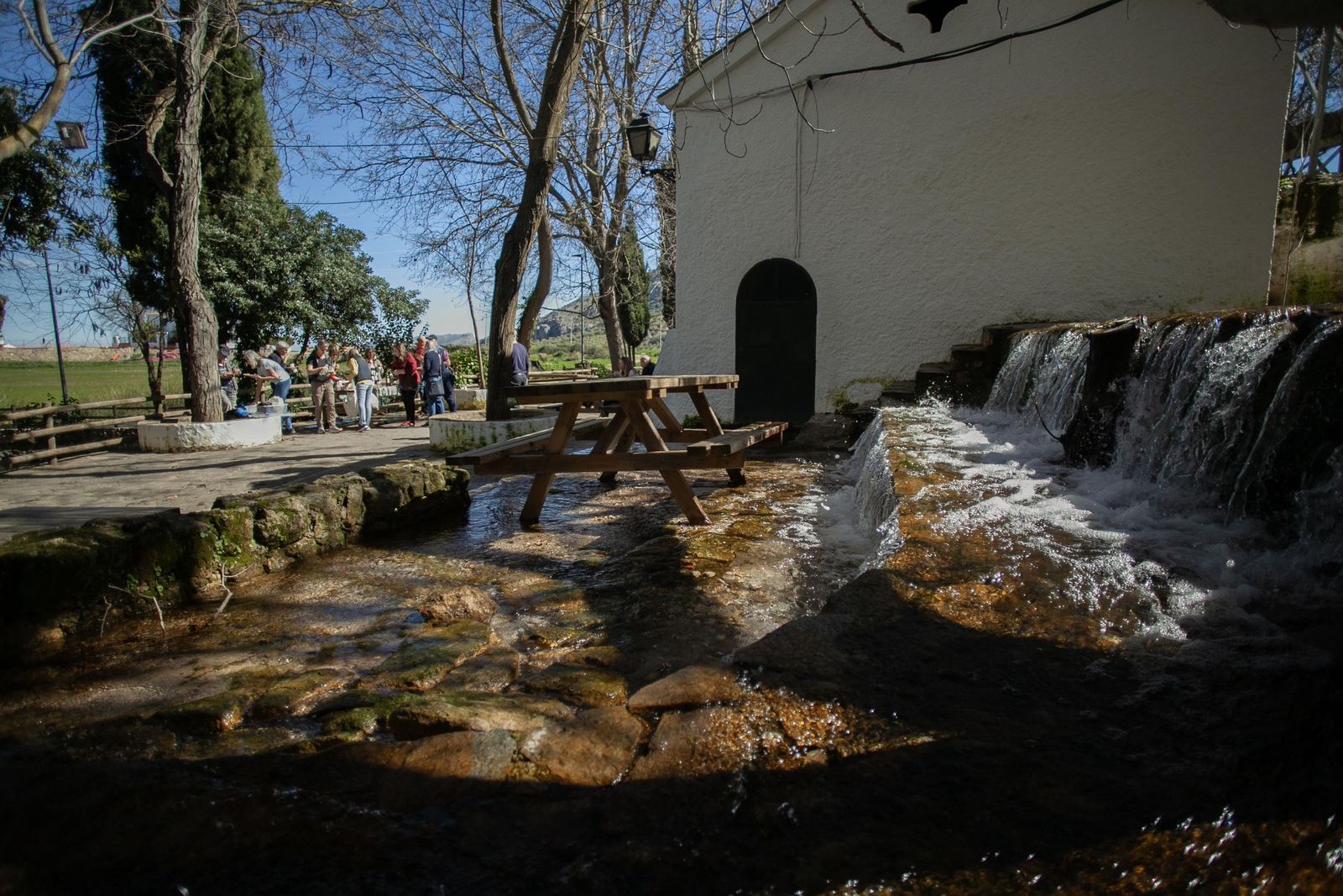 Las lluvias transforman el paisaje en el interior de Málaga, en imágenes