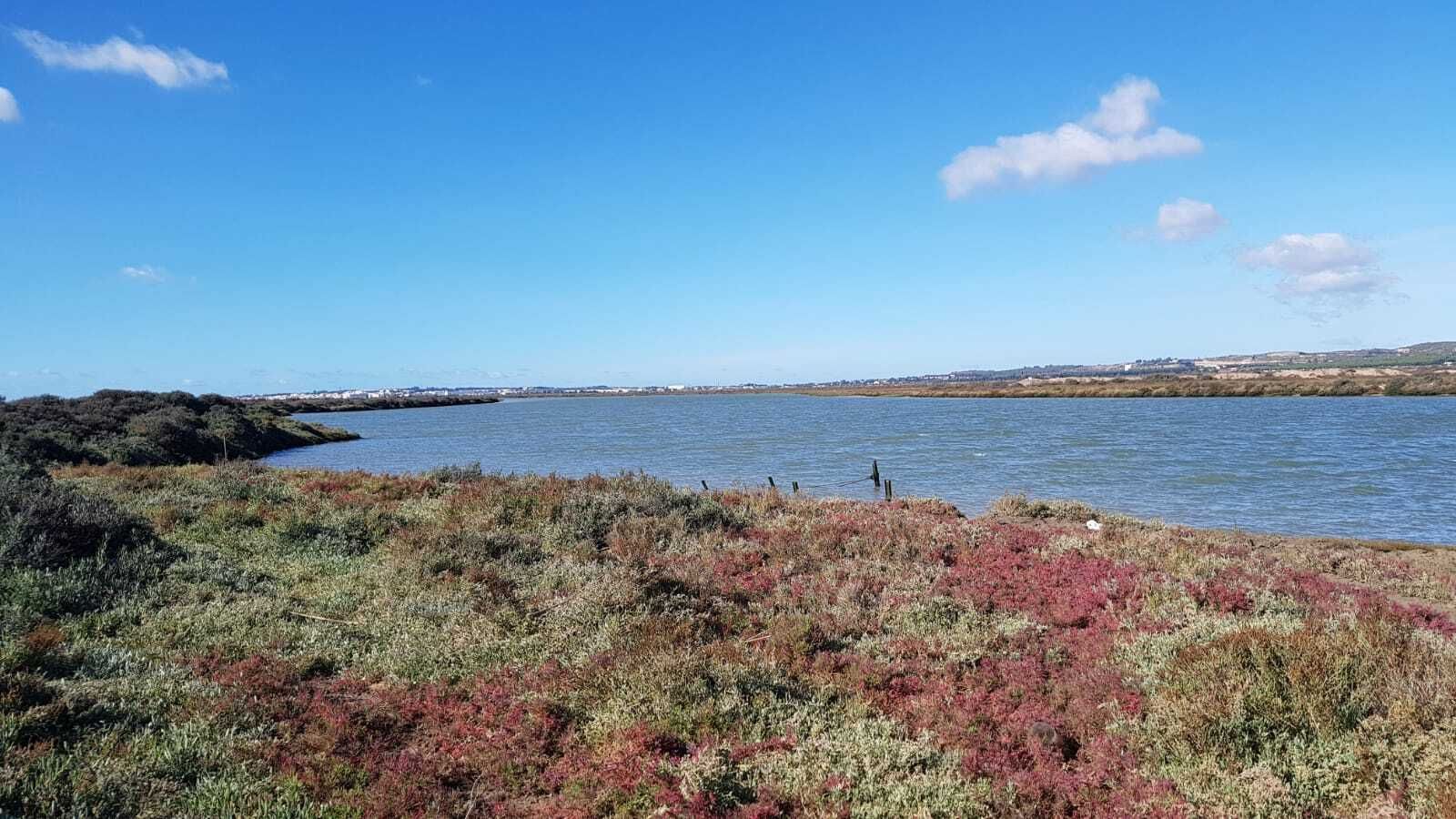 El canal de 3.800 metros que se construyó para unir el río San Pedro y el Guadalete, ya integrado en este último.