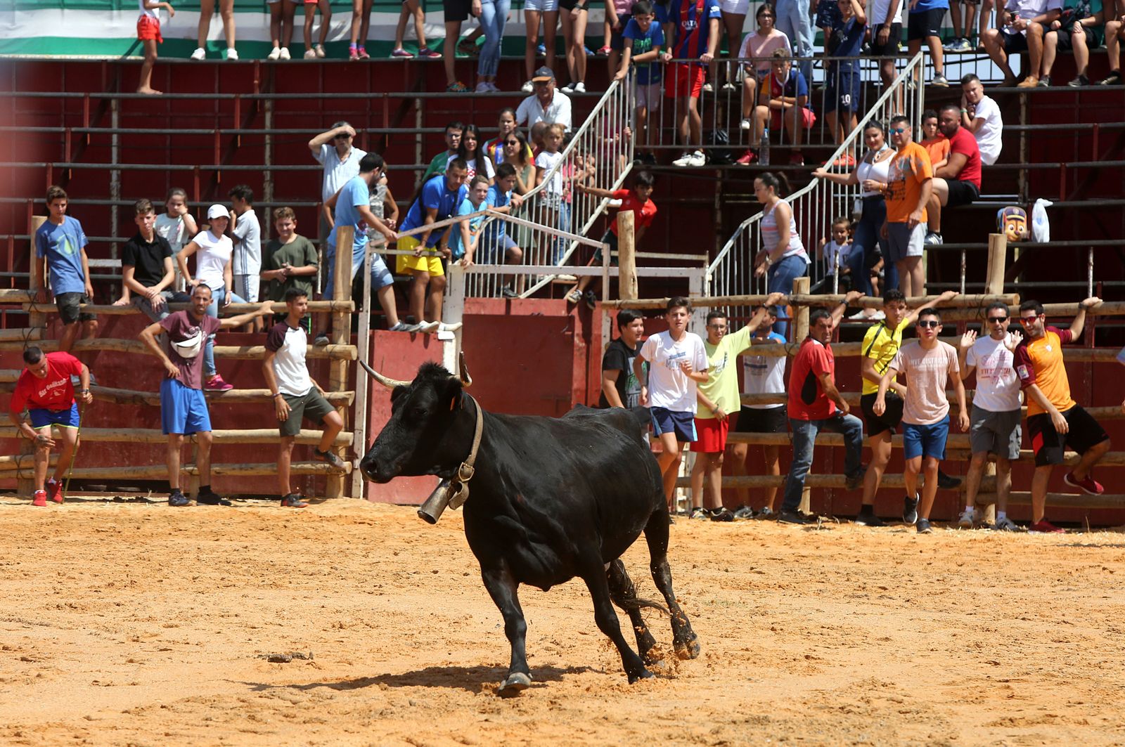 Capeas de Trigueros en imágenes