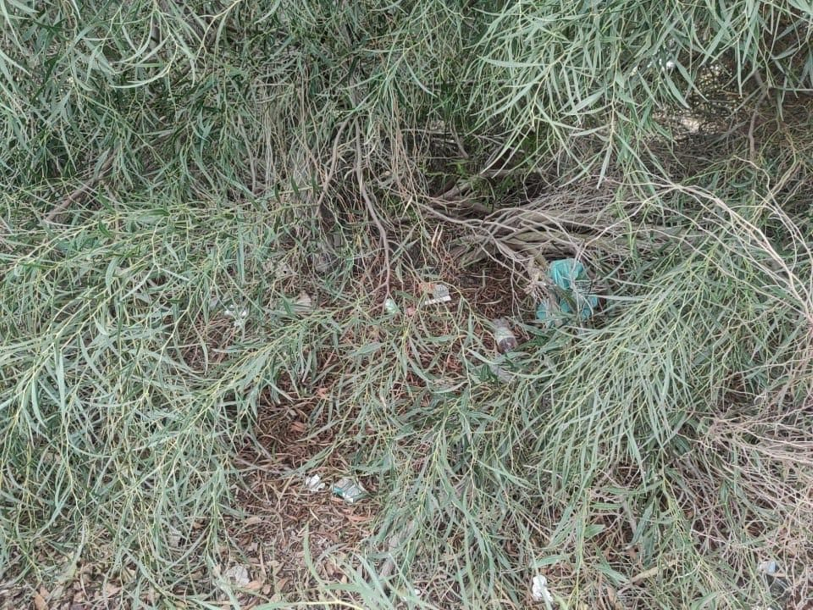 Quejas vecinales por el mal estado de los parques de Pozoalbero en Jerez.