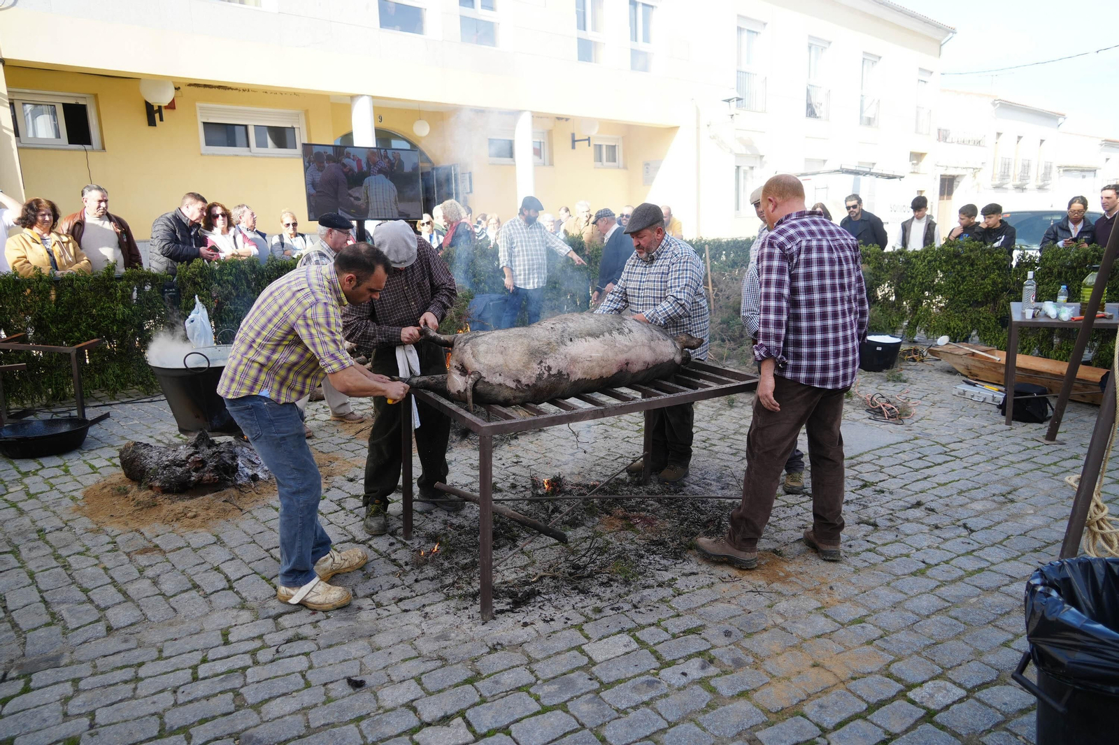 Alcaracejos celebra su Fiesta de la Matanza, en imágenes