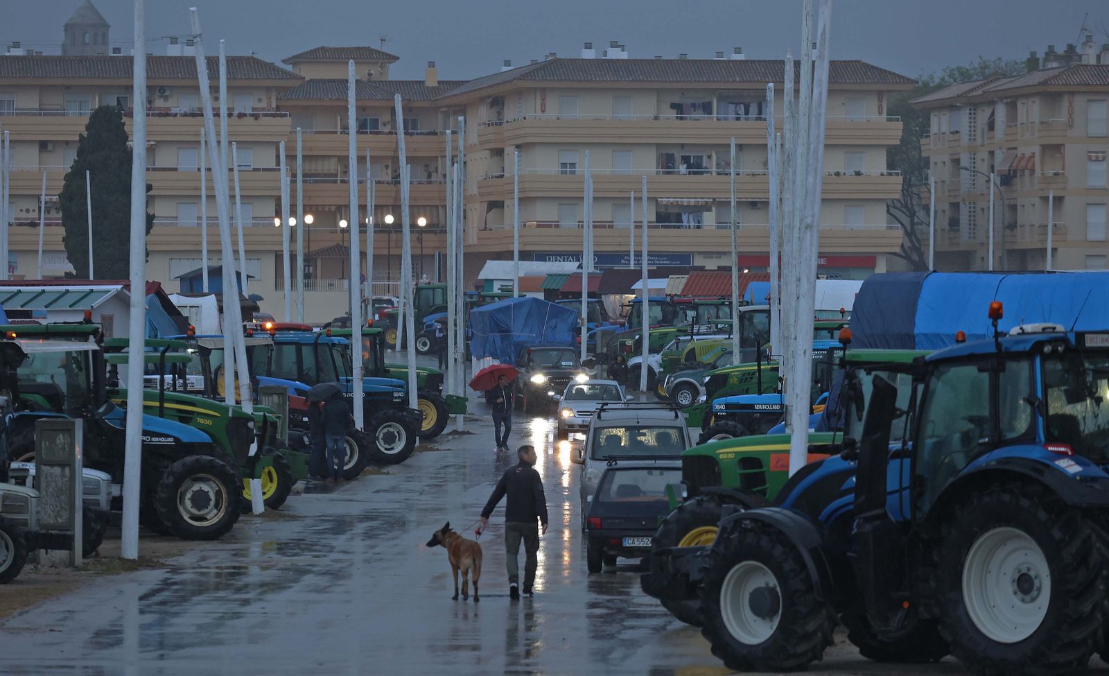 Búscate en las fotos del sábado en la romería de Los Barrios