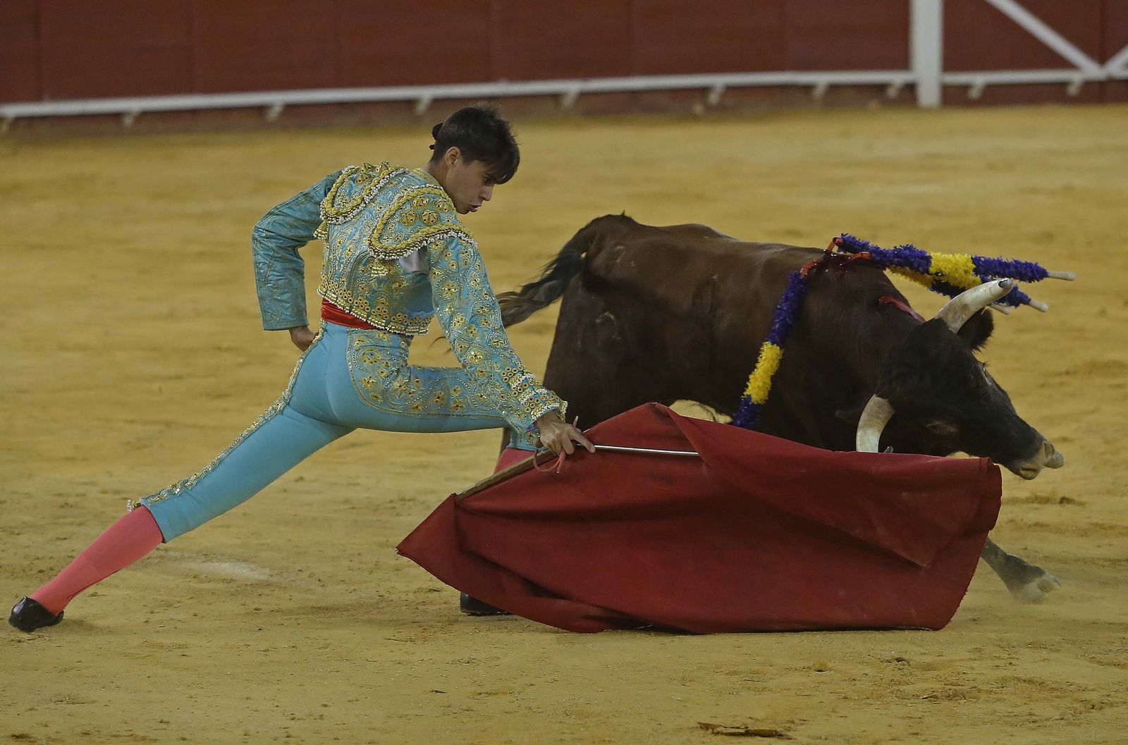 La novillada de Miguelín que abre la feria de Algeciras, en imágenes
