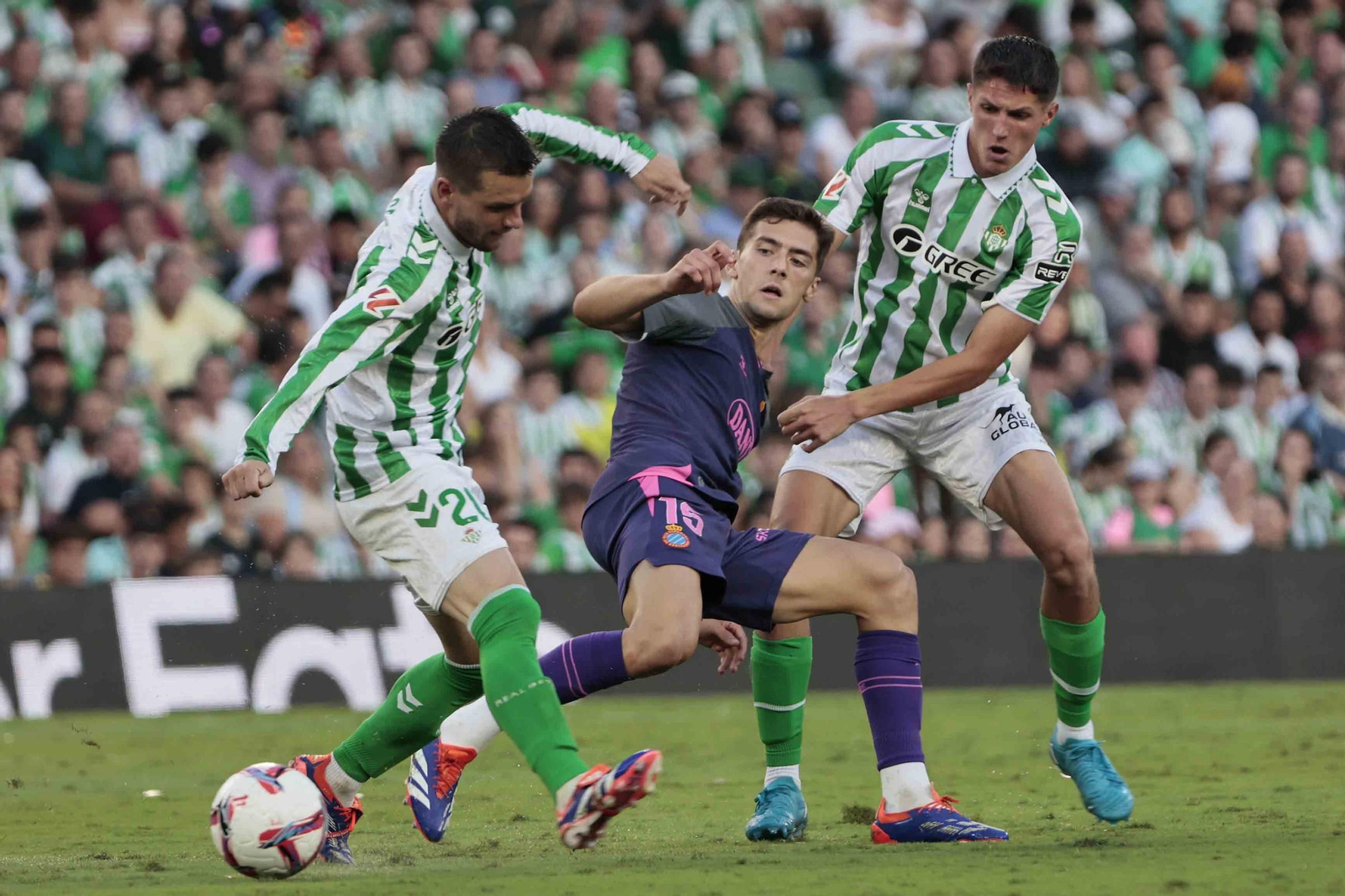 Las mejores fotos del Betis - Espanyol