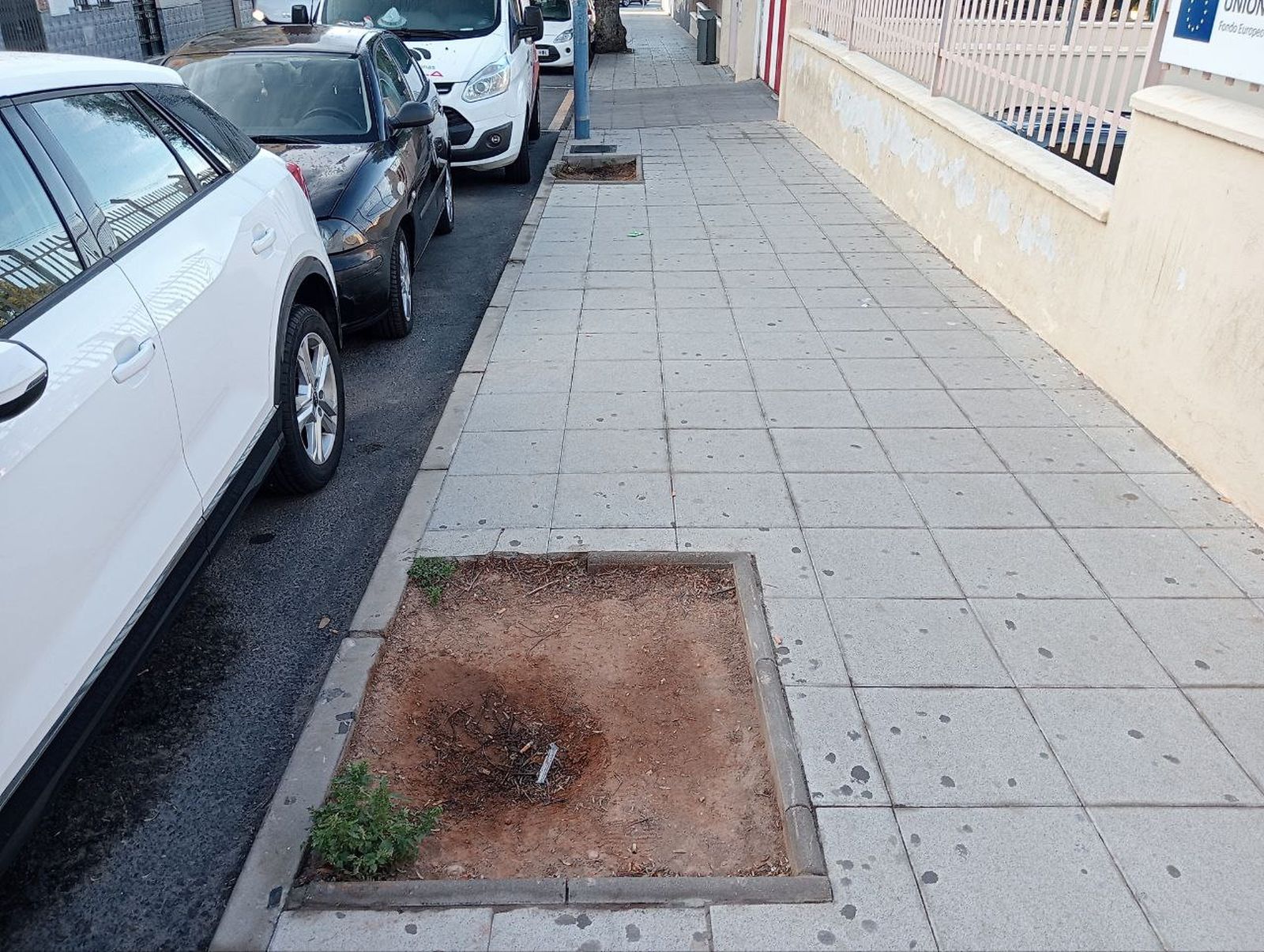 Alcorque vacío en una de las calles de la capital almeriense