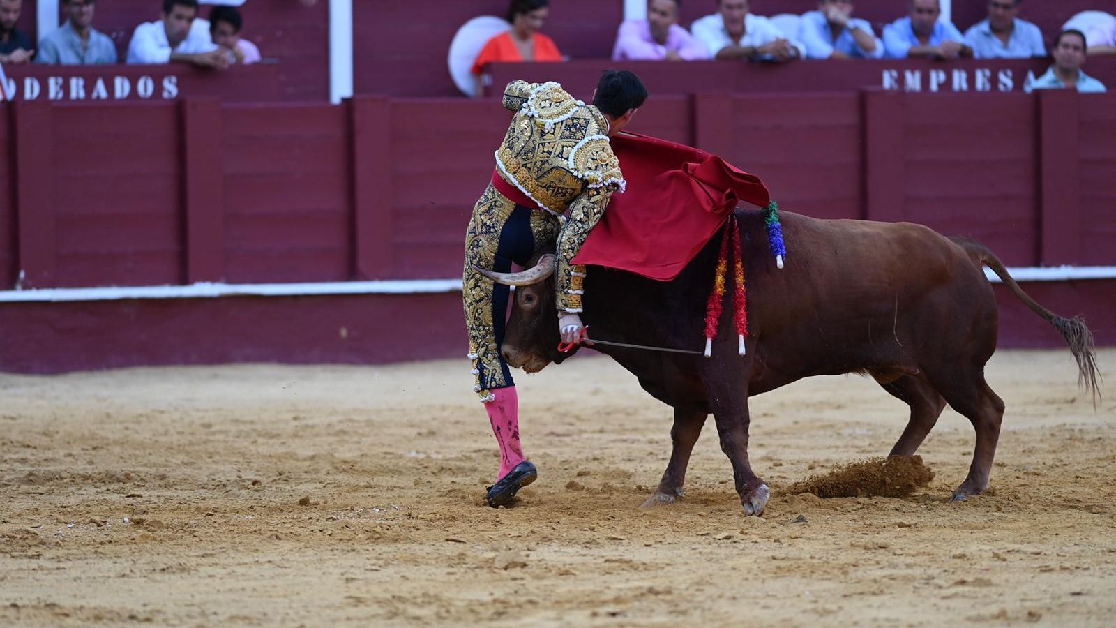 Fortes sufre una voltereta en el tercero de la tarde. Fortes sufre una voltereta en el tercero de la tarde.