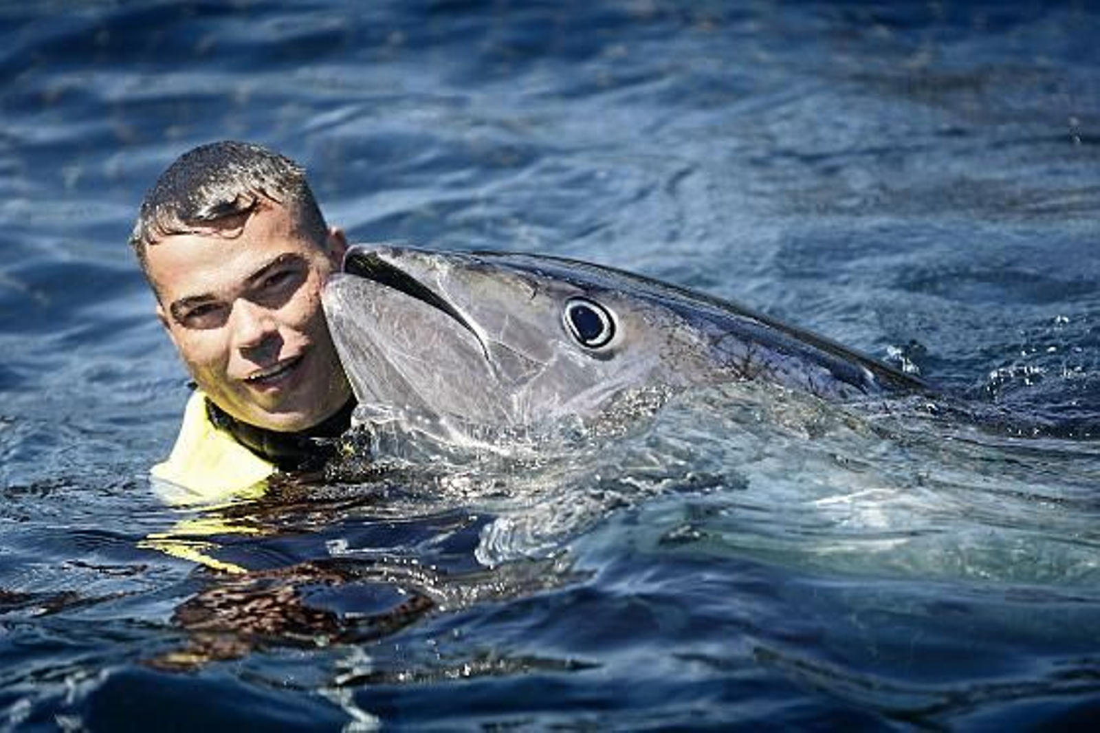 Cincuenta cocineros de elite asisten a la primera levantá en la almadraba de Barbate.

Foto: Julio Gonzalez