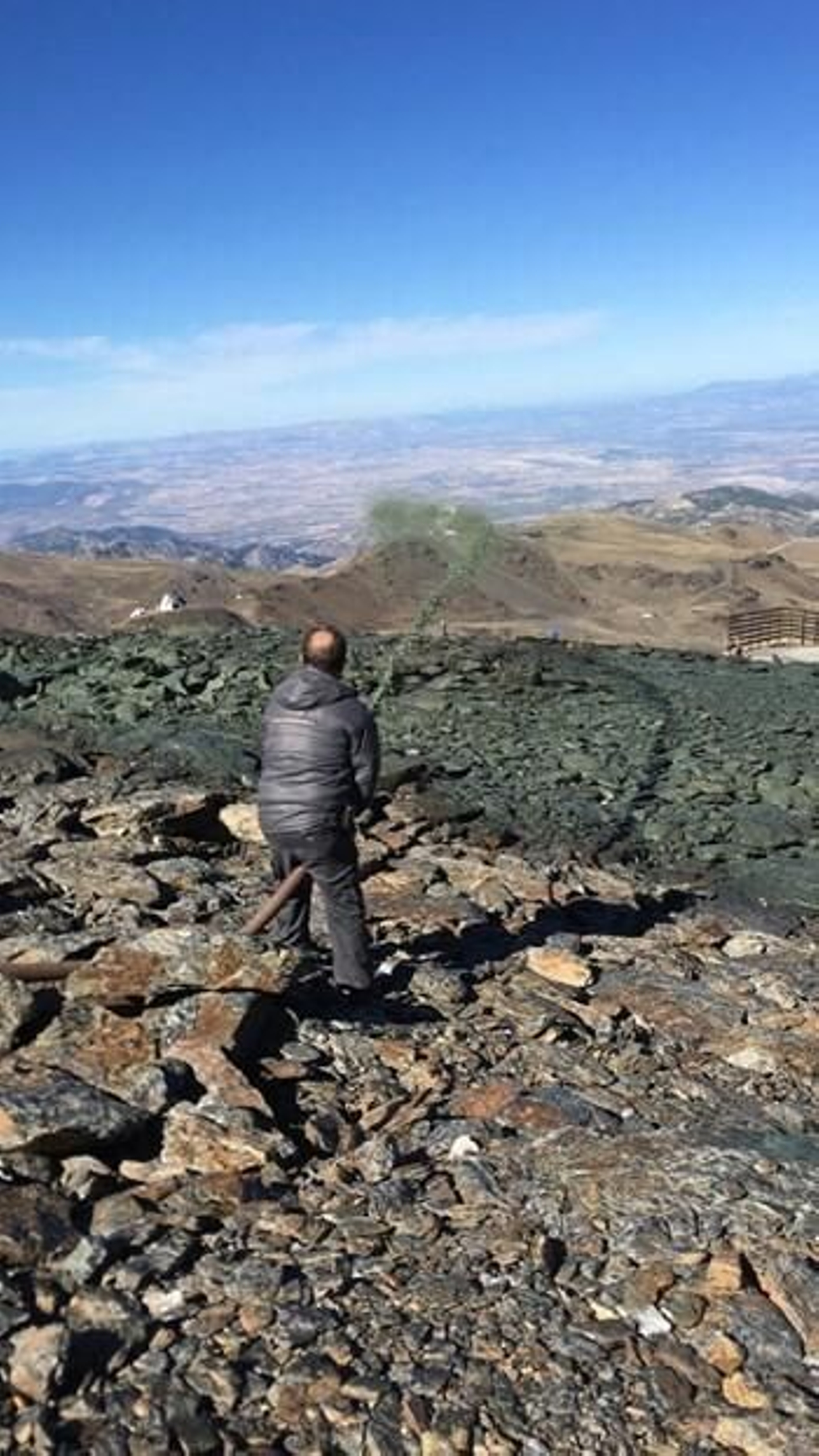 Colocando las semillas en una de las zonas de pistas
