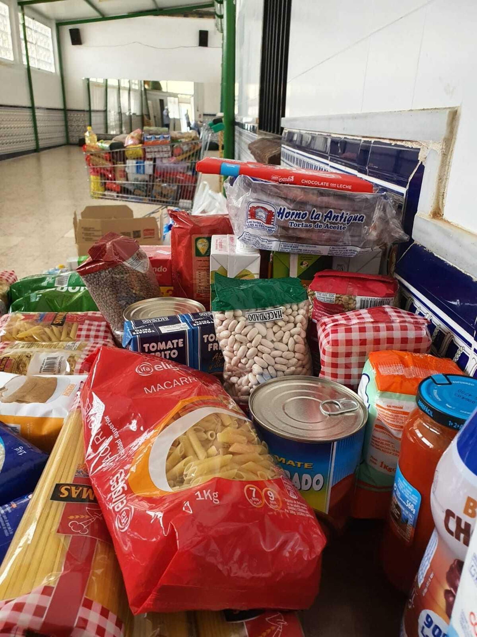 Alimentos recogidos en la primera mañana de la campaña.