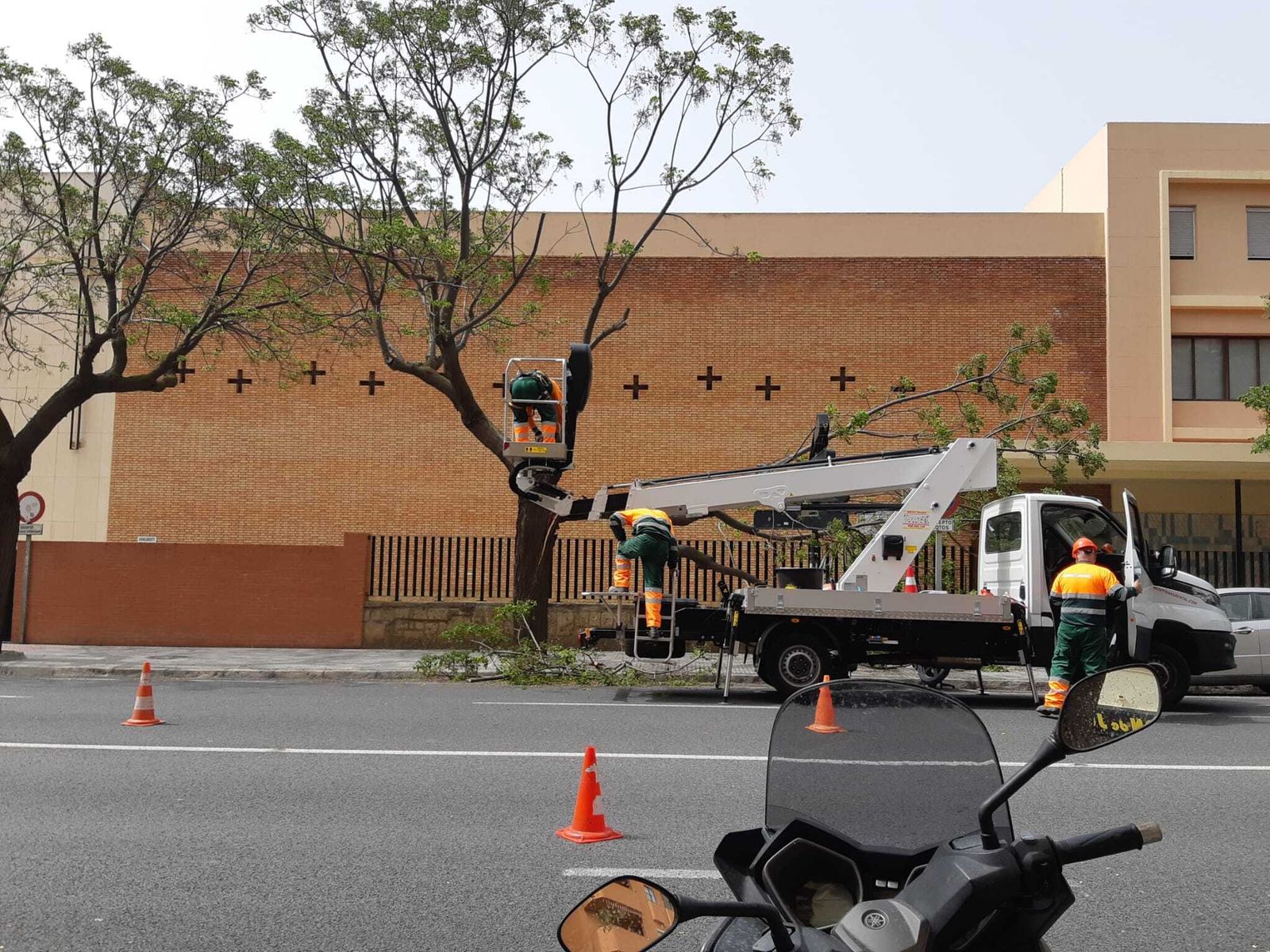 Imágenes: Los efectos del temporal de viento de Levante en Cádiz