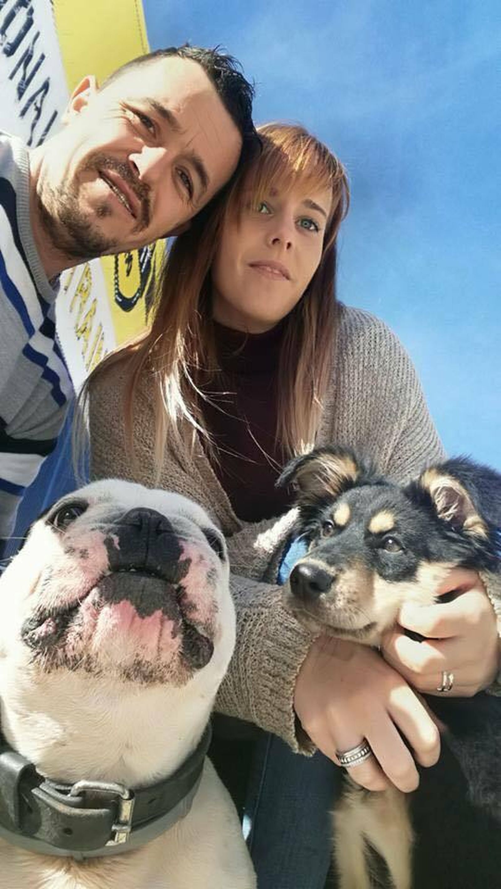 En primer plano, 'Danko', el animal que a sido robado.