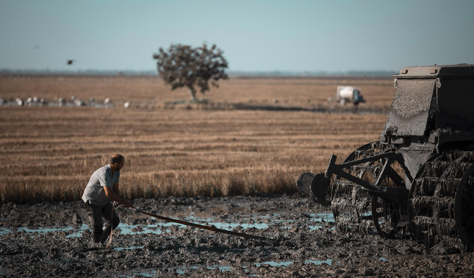 La ruta del arroz, en imágenes