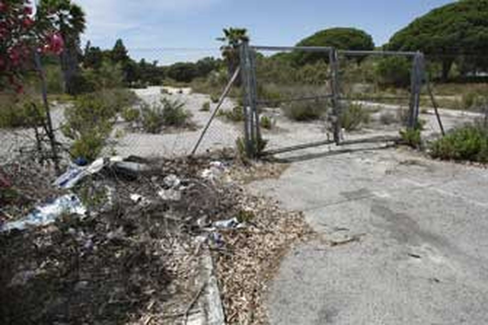 Imagen parcial de los terrenos del antiguo camping de Valdelagrana. /Fito Carreto