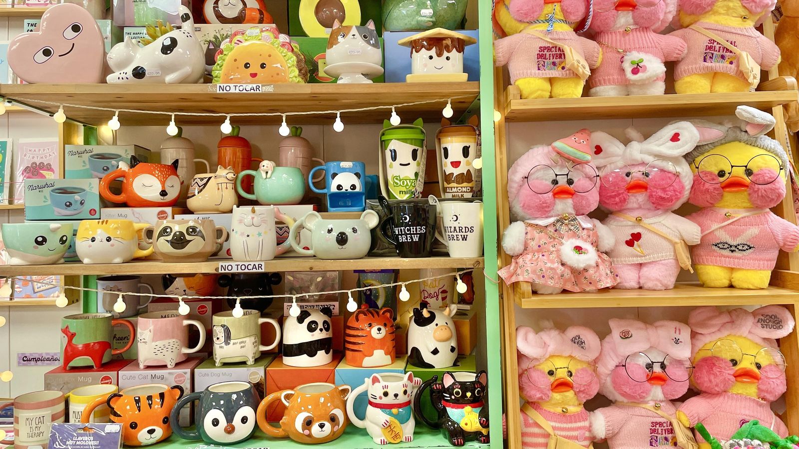 Las fotos de La Selva de Papel