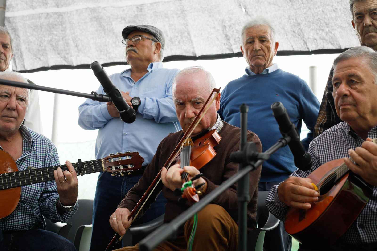 Galería de la Feria  de ganado en Tarambana