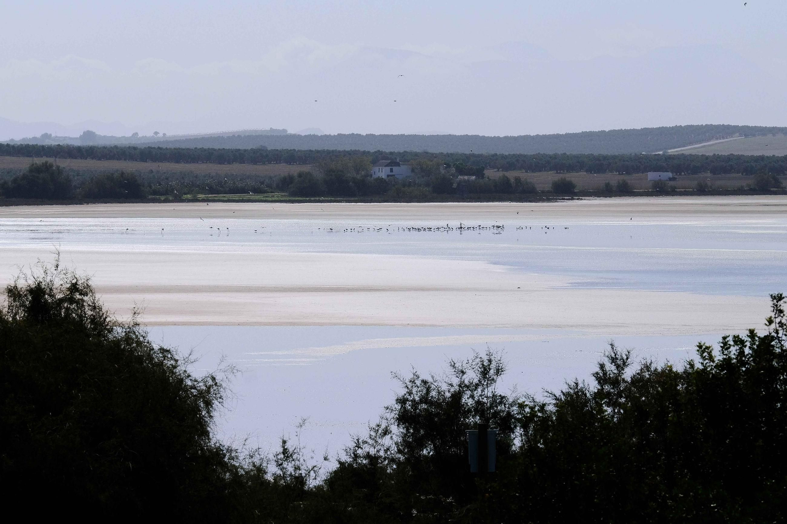Laguna de Fuente de Piedra tras las lluvias, en fotos