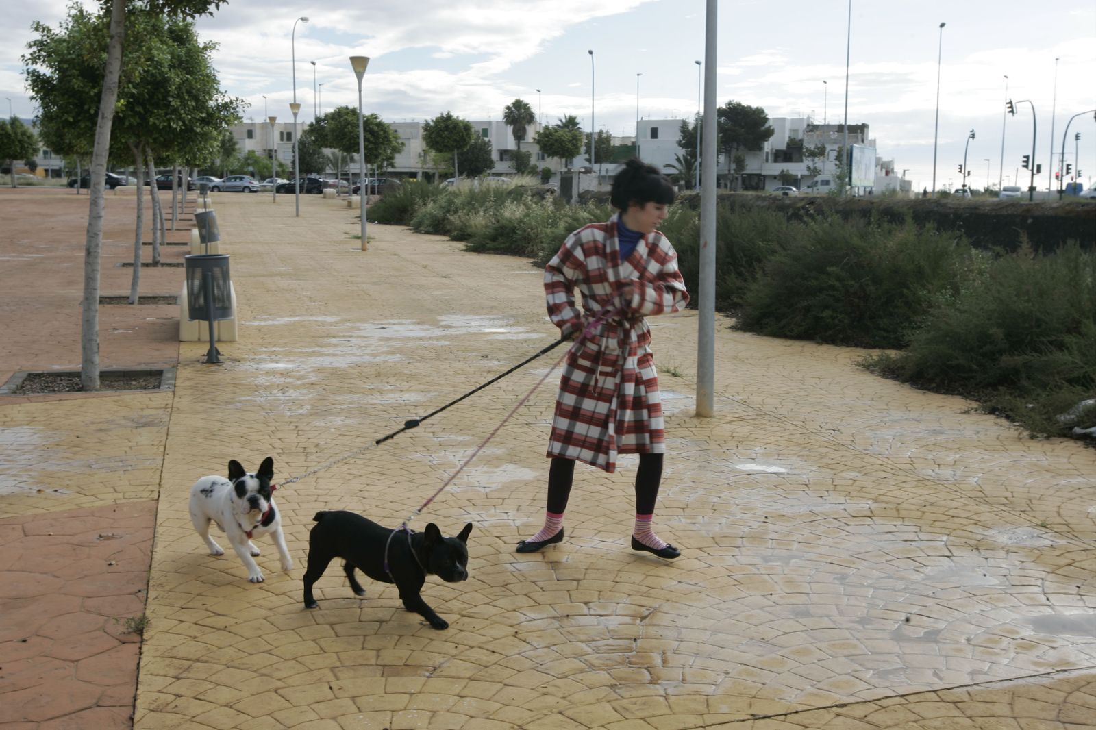 El Ayuntamiento está legitimado para sancionar a los propietarios de perros por no recoger los excrementos con multas de hasta 750 euros.