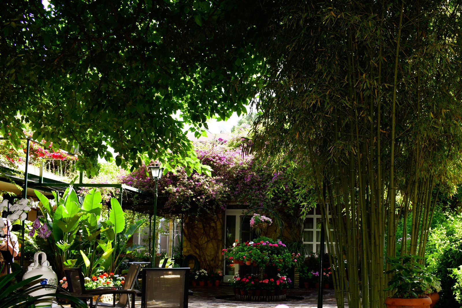 Plaza de las tazas,11