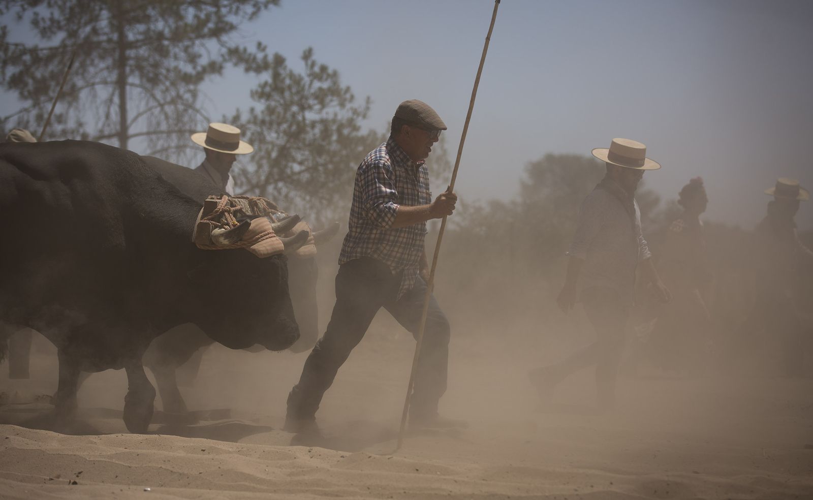El paso de hermandades del Rocío por la Raya Real