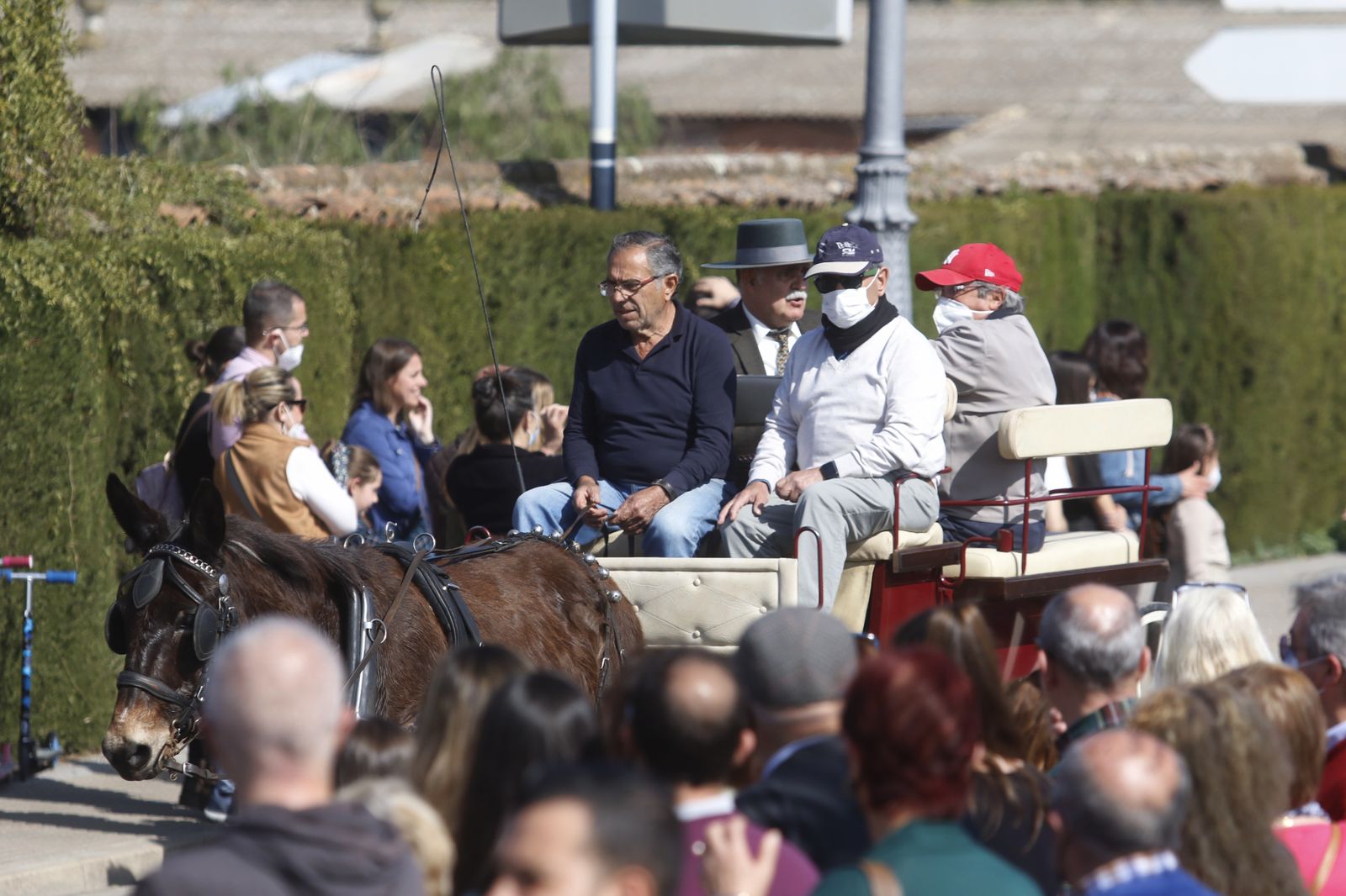 La marcha hípica en Córdoba por el 28-F, en fotografias.