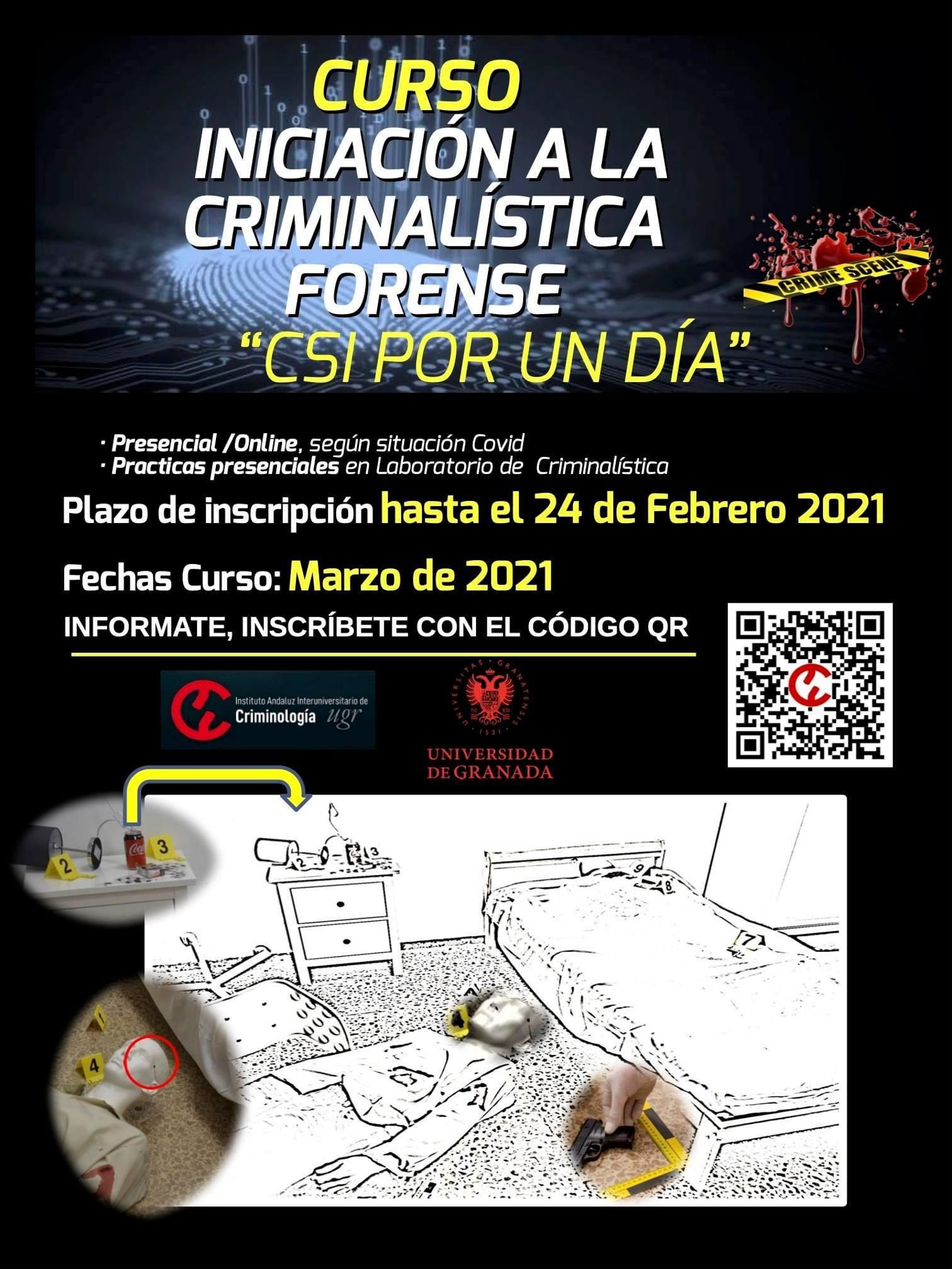 Cartel del curso.