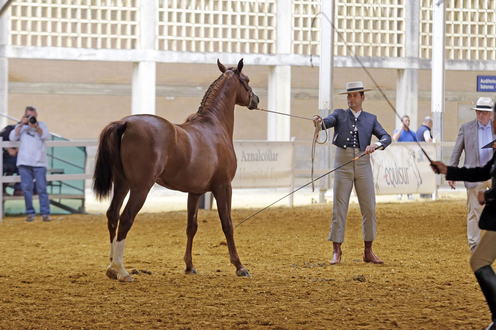 El mal estado de Ifeca lastra una edición de Equisur bajo mínimos