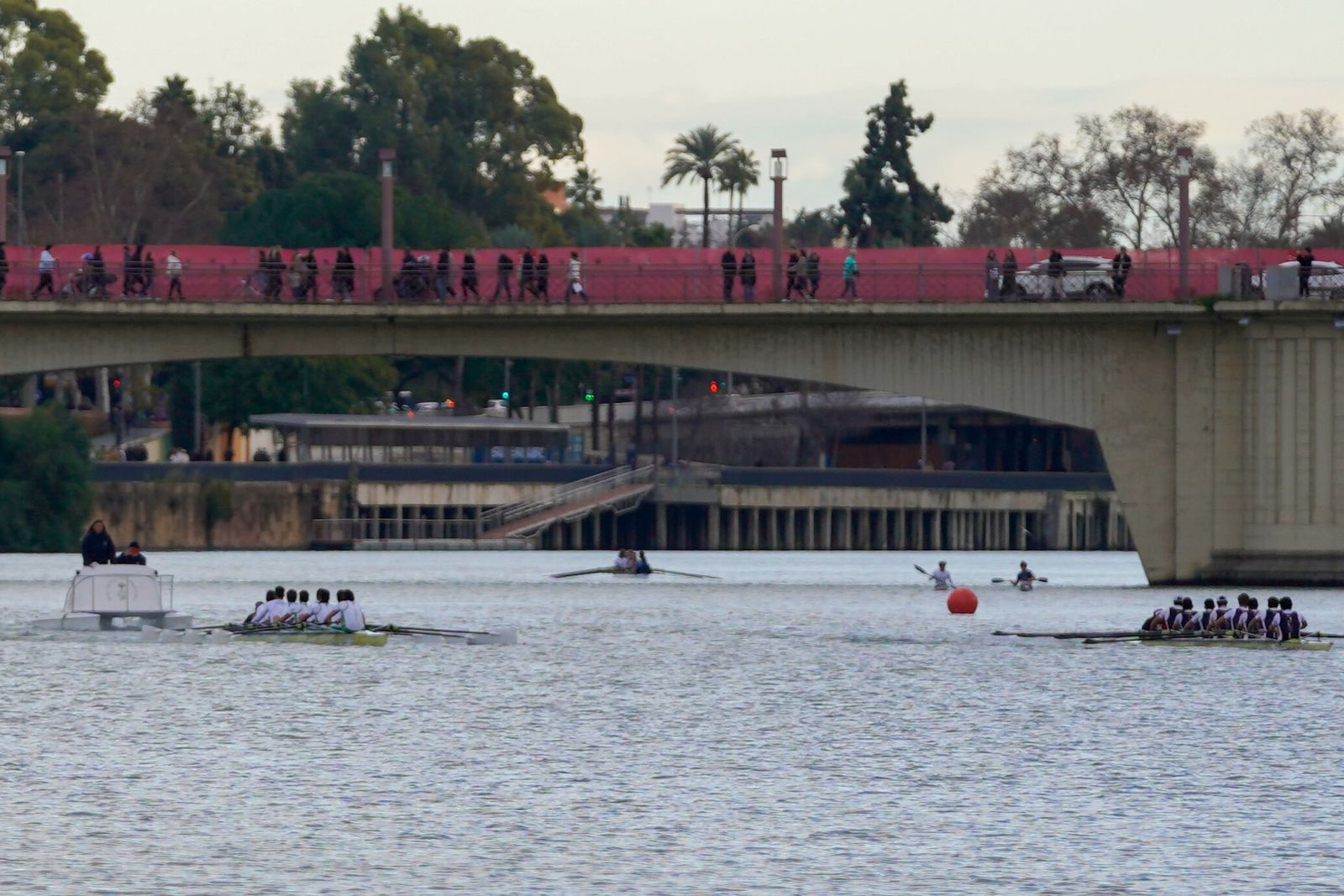 Las fotos de la primera regata de La Liga Nacional de Remo Olímpico Tradicional
